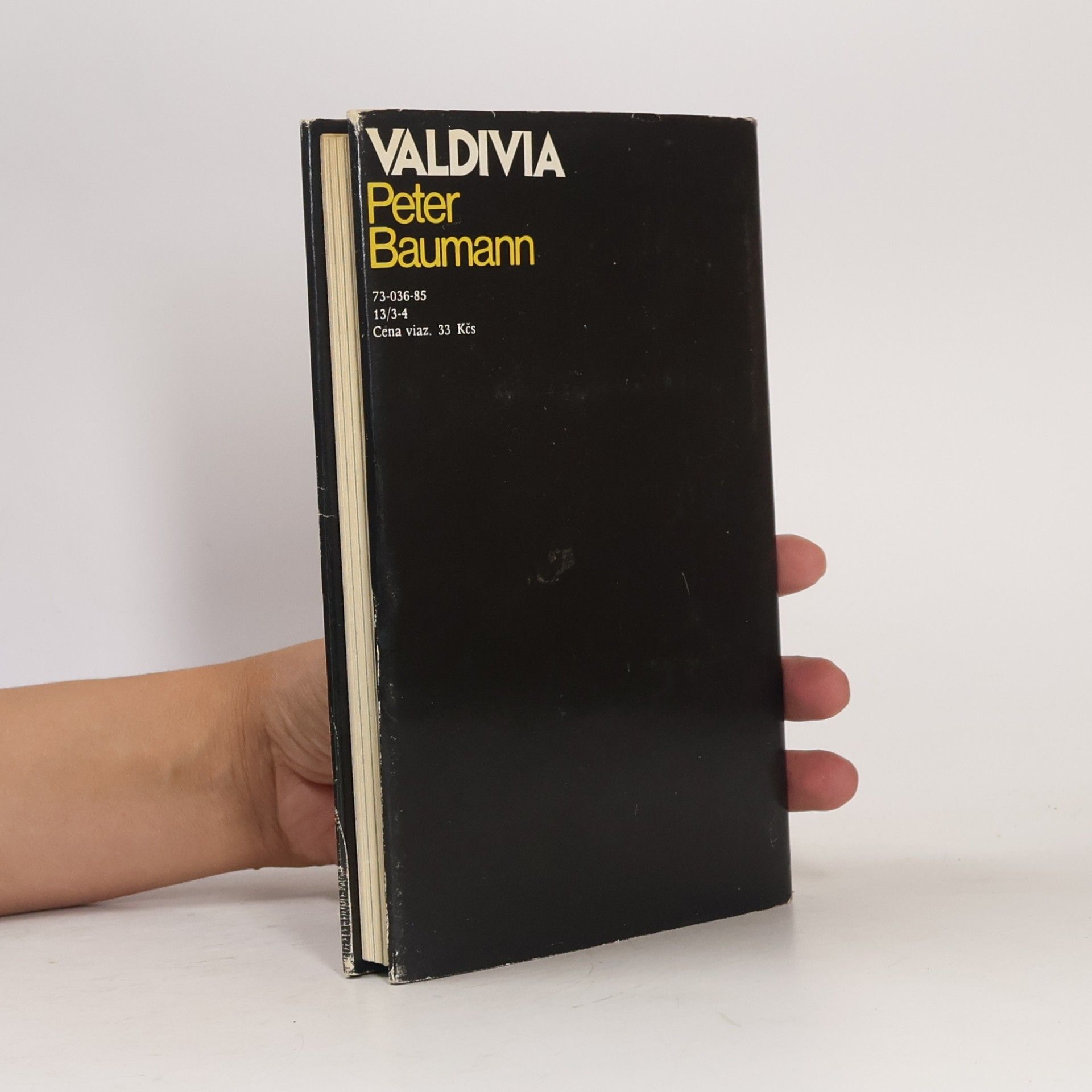 Peter Baumann Valdivia. Objavenie najstaršej americkej kultúry