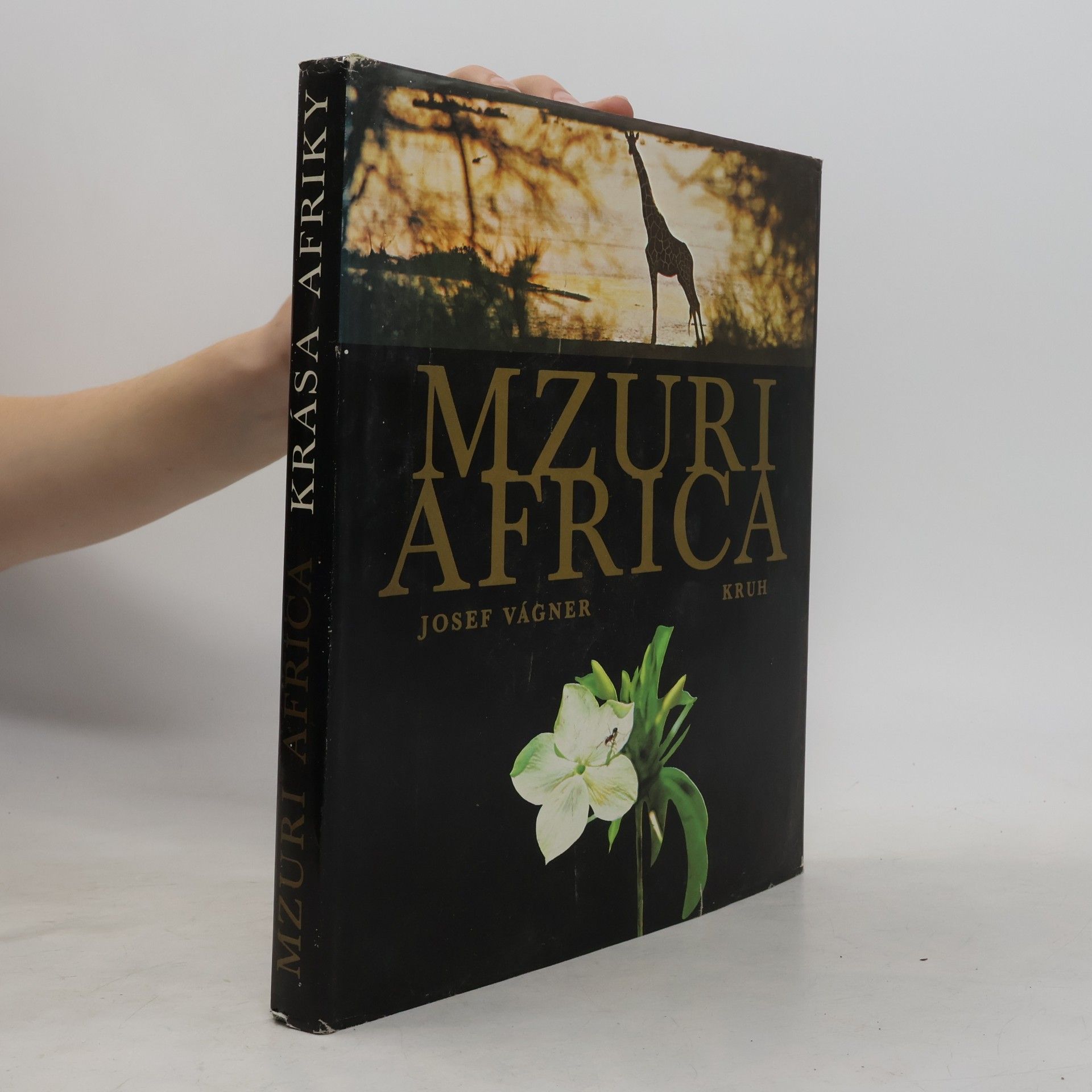 Mzuri Africa