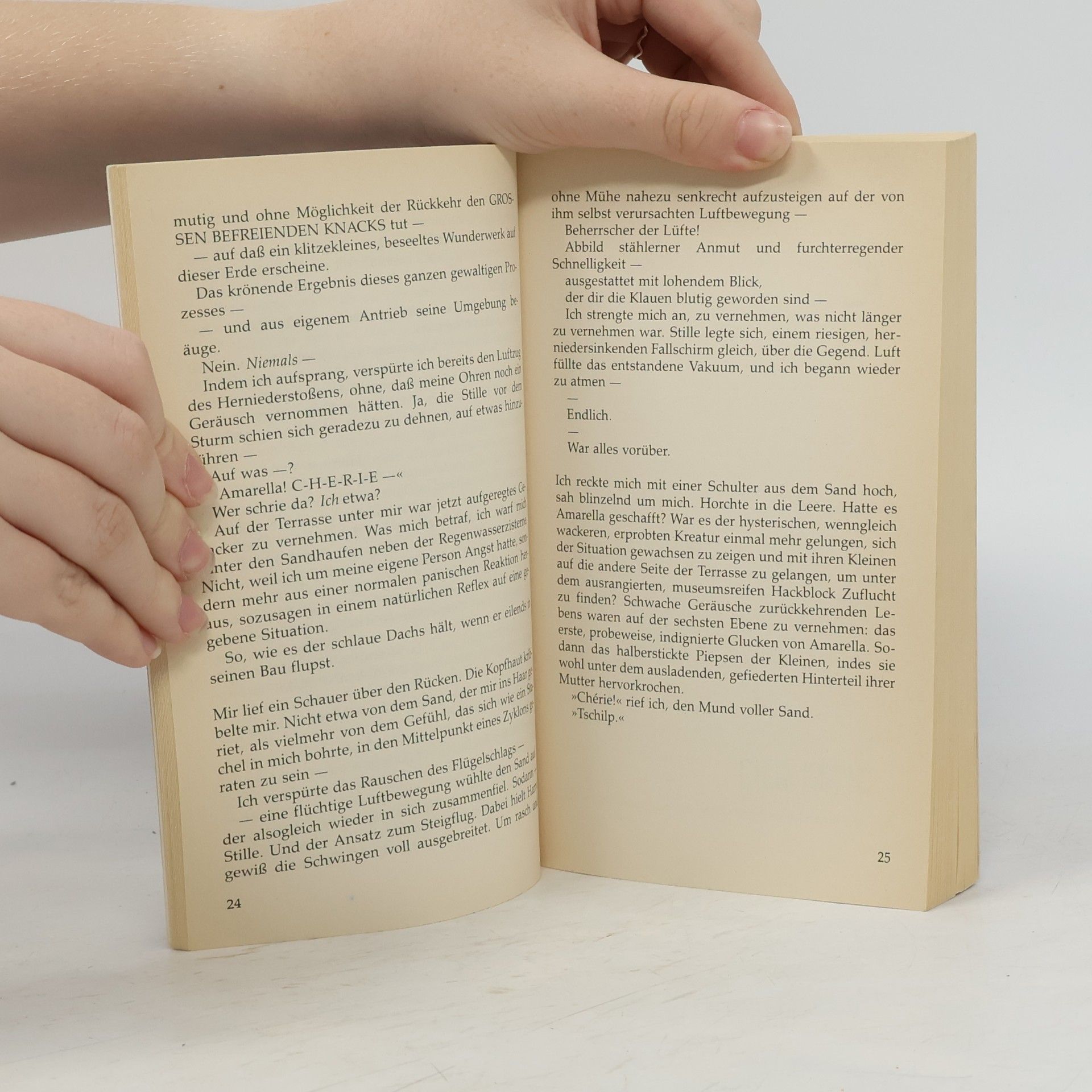Ruth Mueller Das Licht im Auge des Kindes