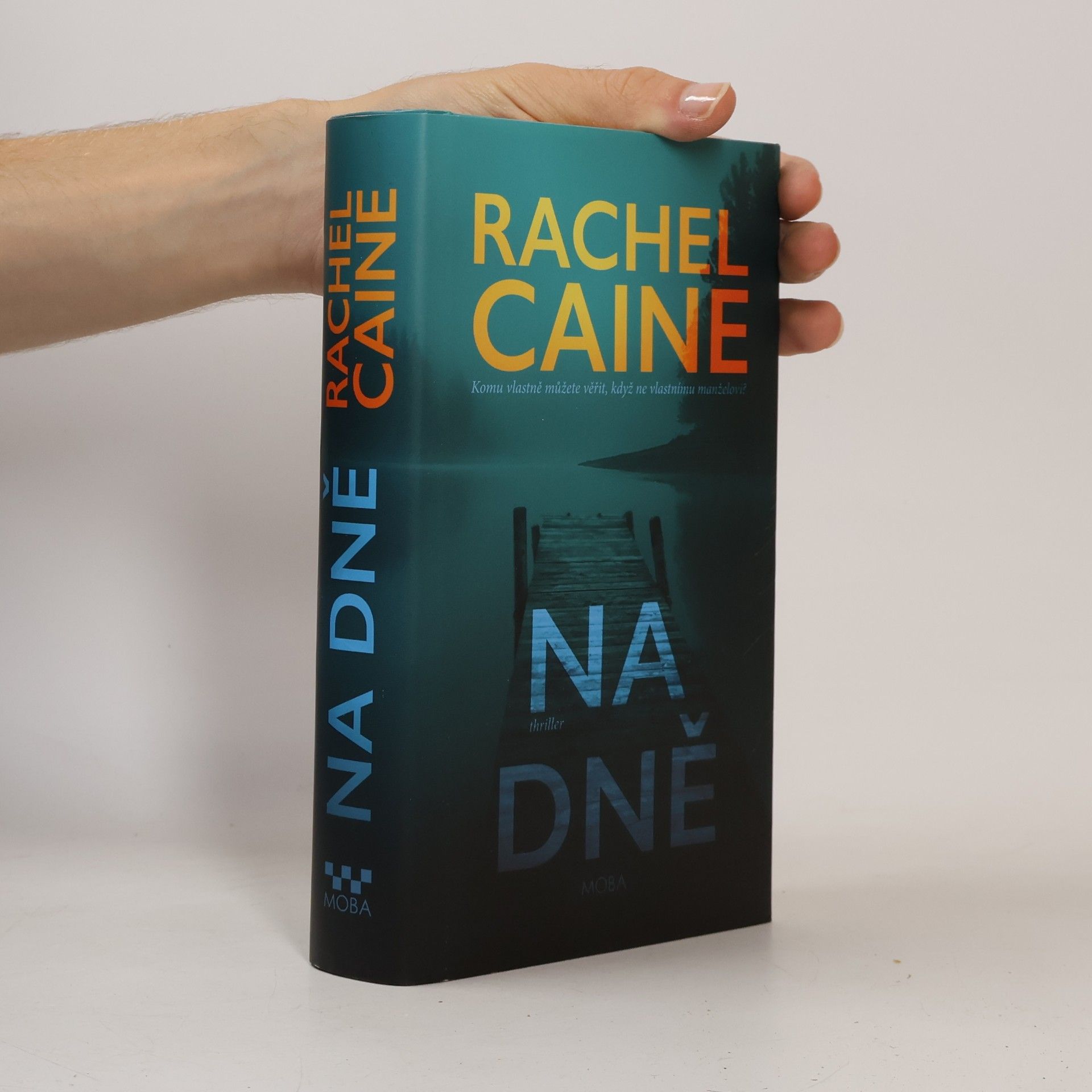 Rachel Caine Na dně