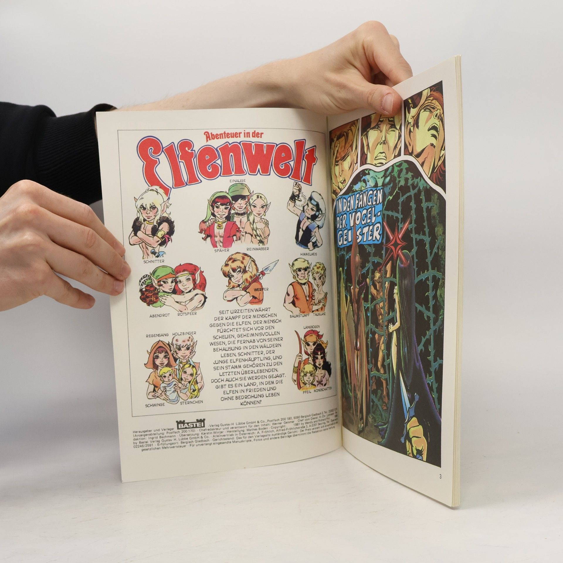 Autorenkollektiv Abenteuer in der Elfenwelt 11