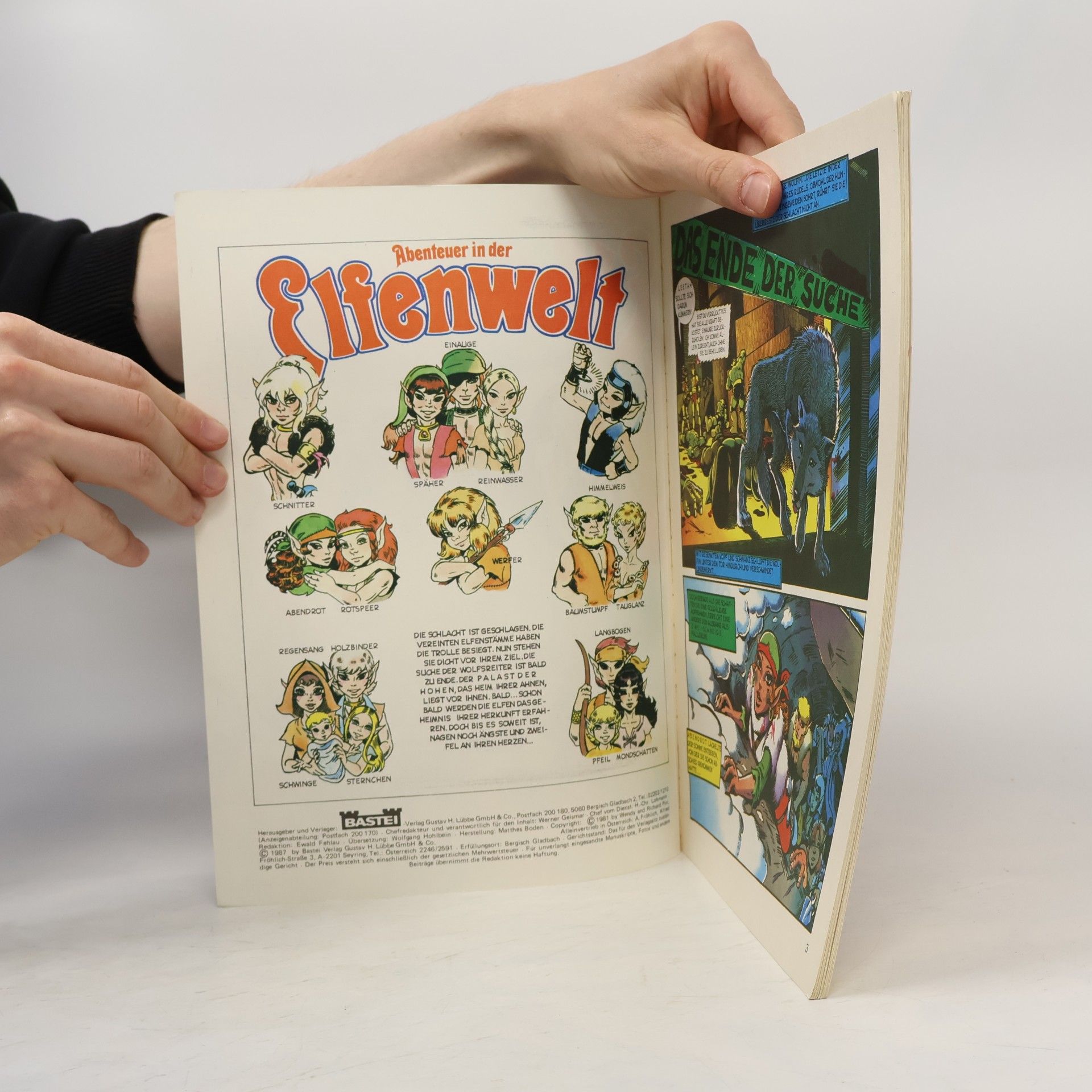 Autorenkollektiv Abenteuer in der Elfenwelt 20. Das Ende der Suche