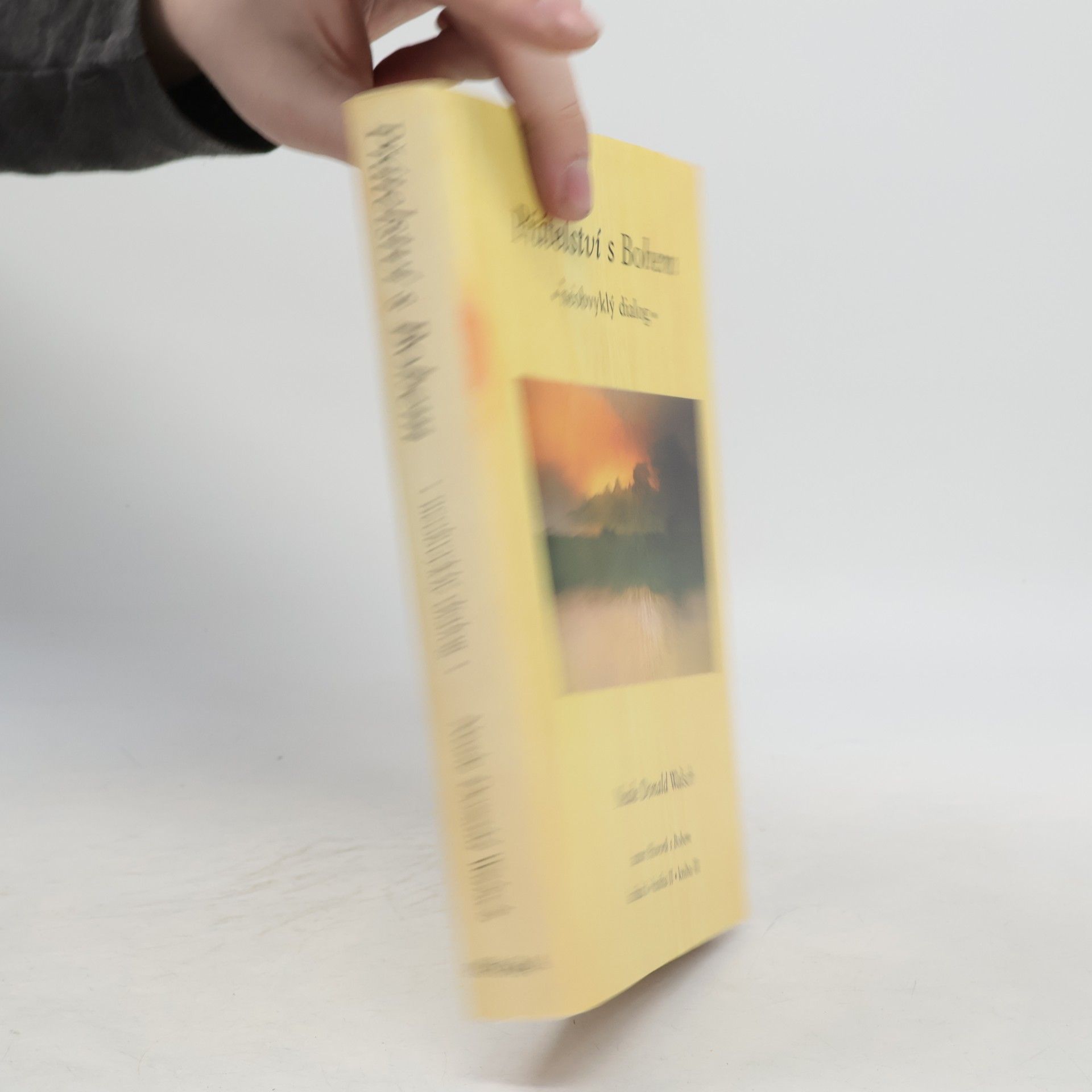 Neale Donald Walsch Přátelství s Bohem