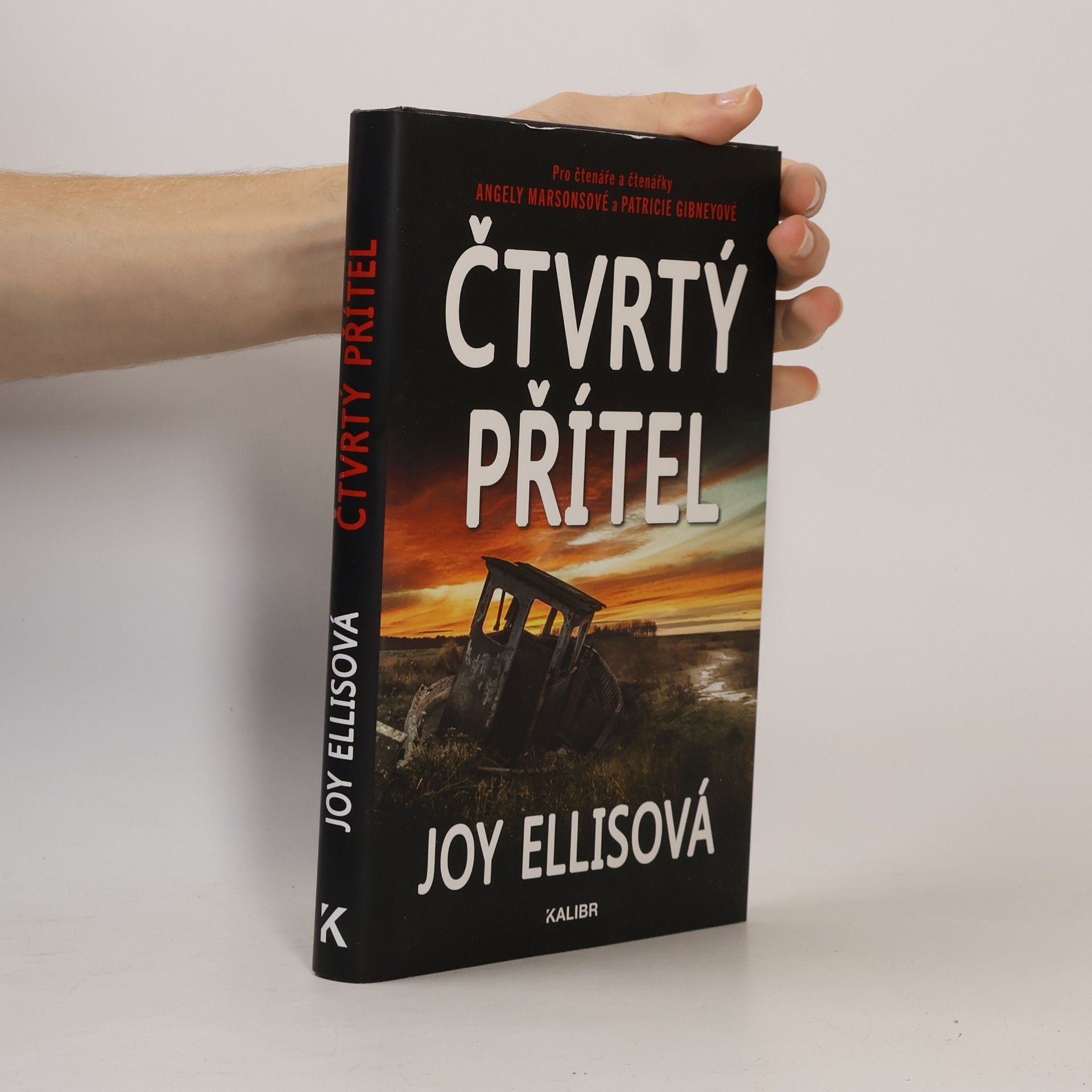 Joy Ellis Čtvrtý přítel