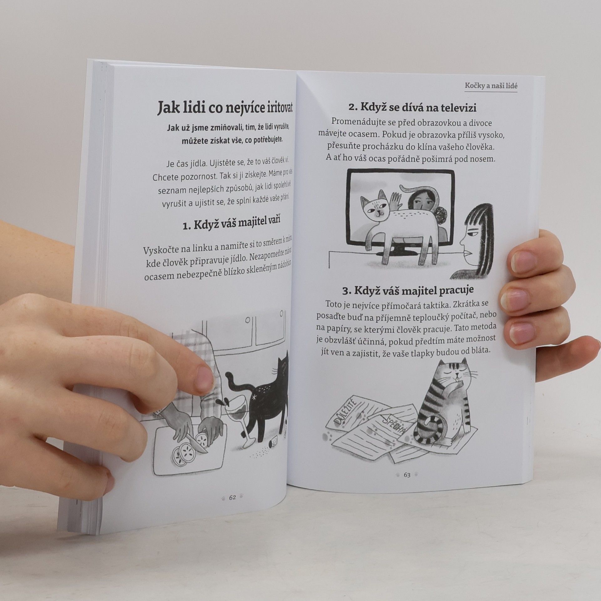 Lucie Chudová Kočkologie. Co si vaše kočka opravdu myslí