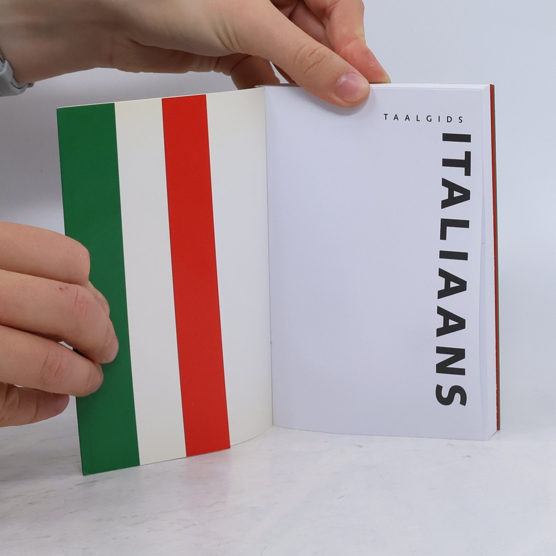 Annemien van der Veen Taalgids Italiaans