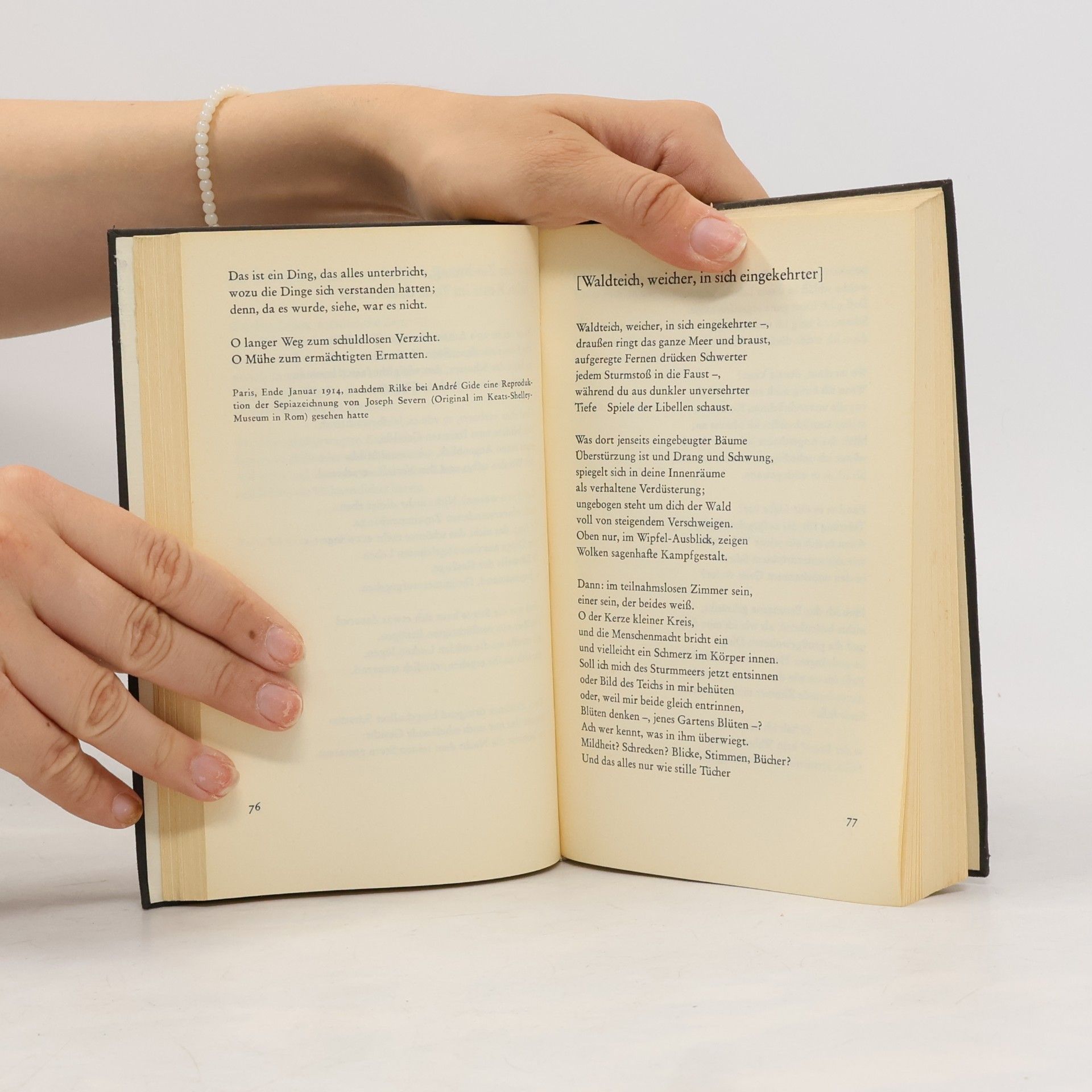Rainer Maria Rilke Augewählte Gedichte