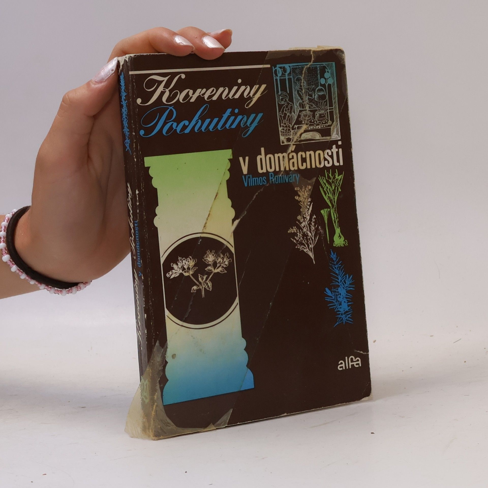 Vilmos Romváry Koreniny - Pochutiny v domácnosti
