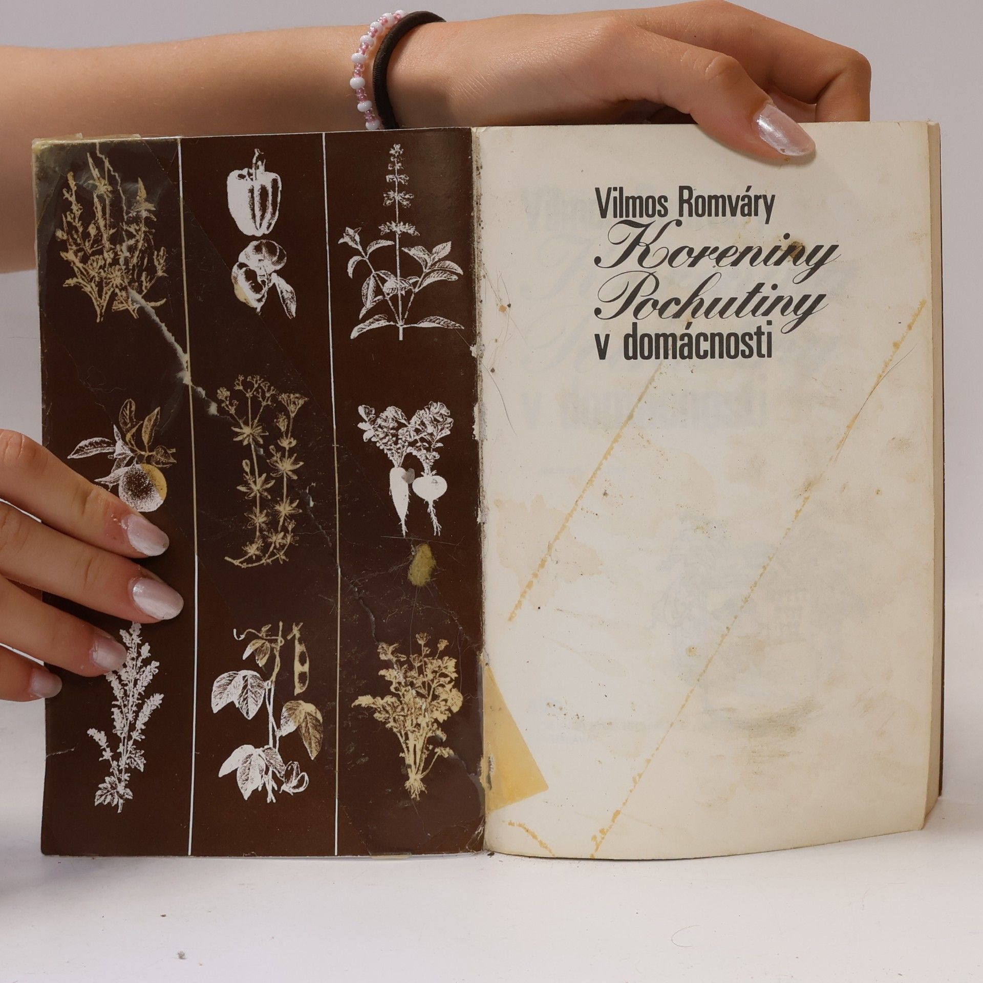 Vilmos Romváry Koreniny - Pochutiny v domácnosti