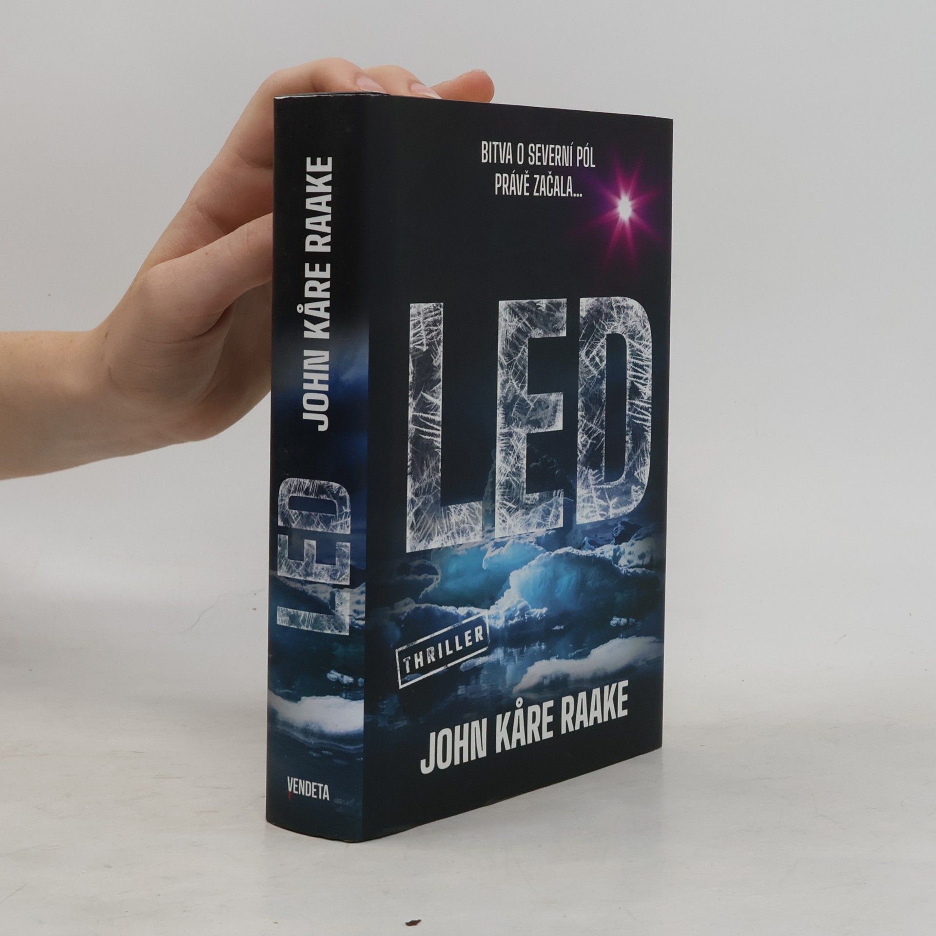 John Kåre Raake Led
