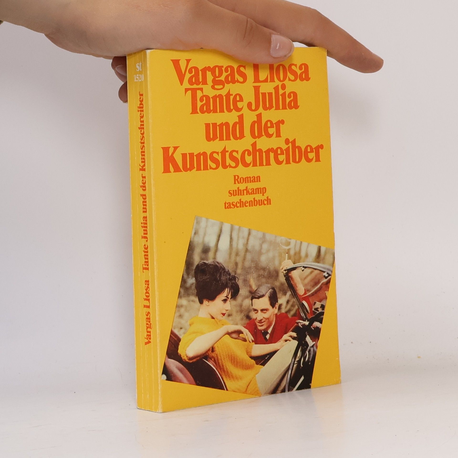 Mario Vargas Llosa Tante Julia und der Kunstschreiber