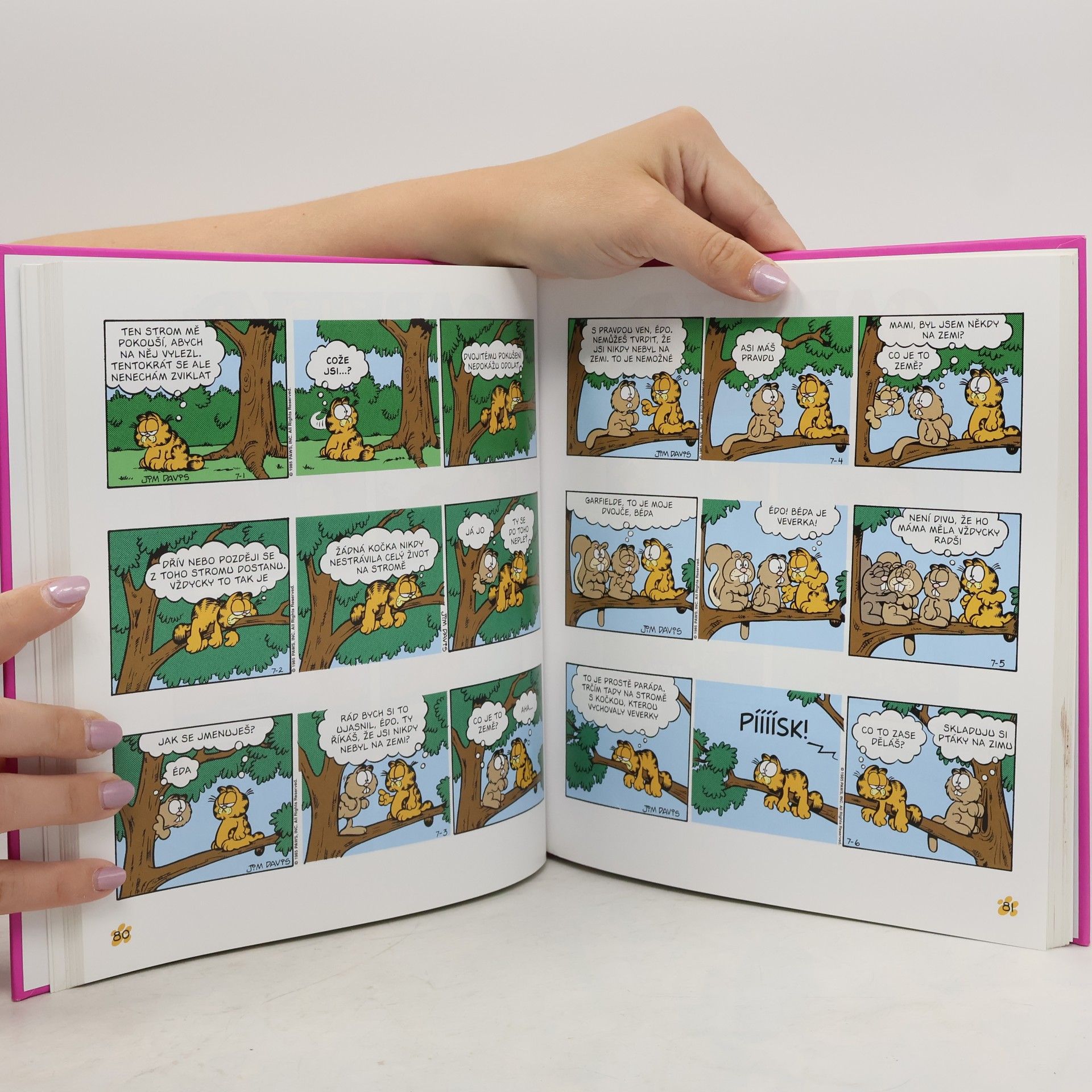 Jim Davis Garfield postrach ledniček