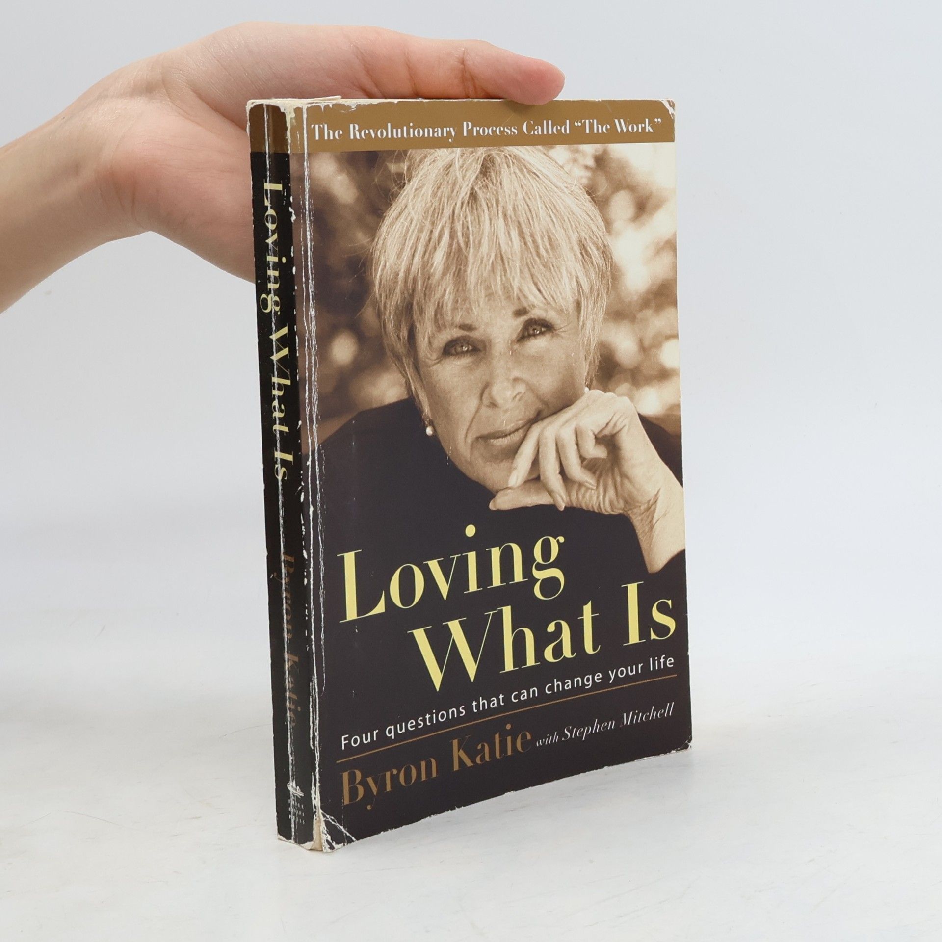 Byron Katie Loving What Is
