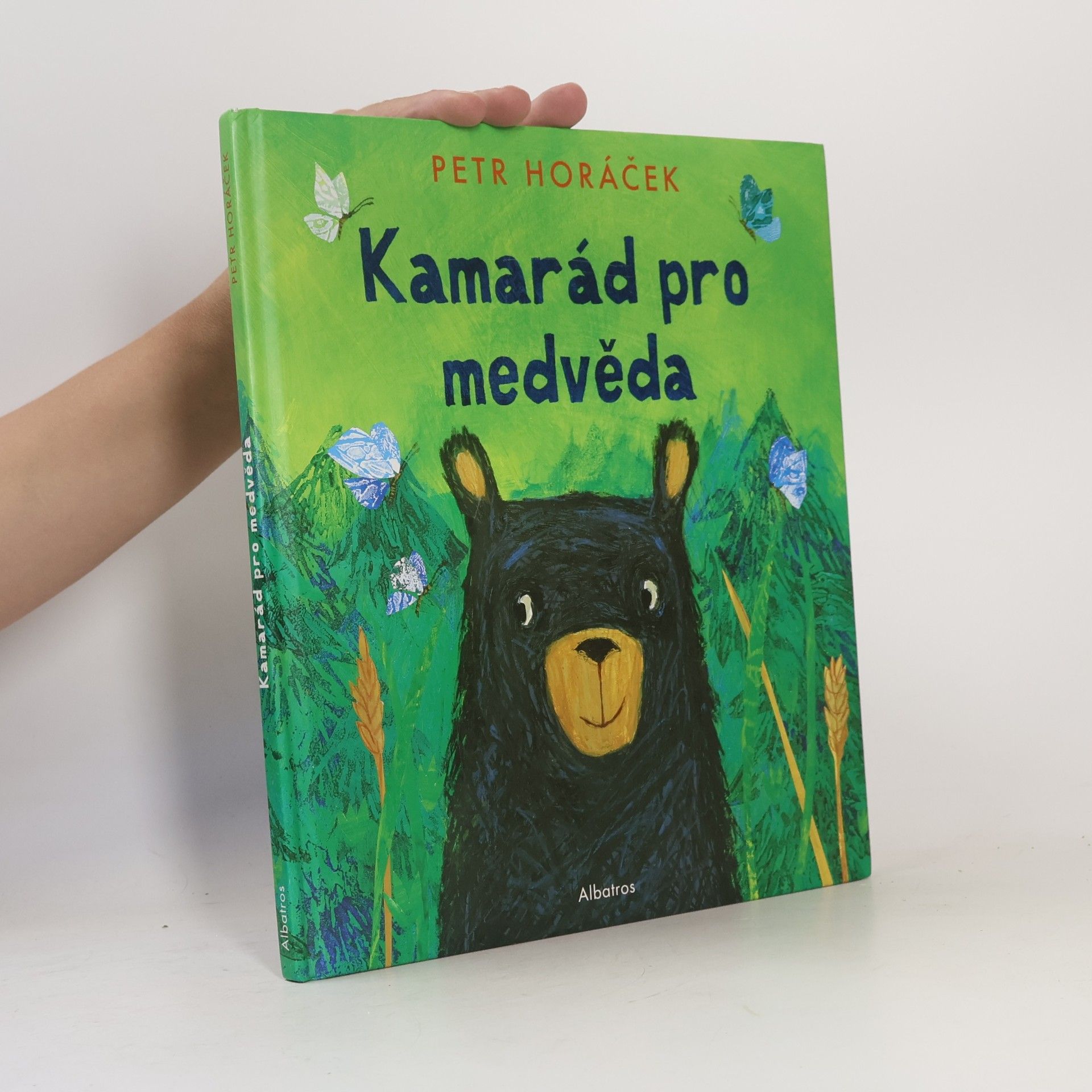 Petr Horáček Kamarád pro medvěda