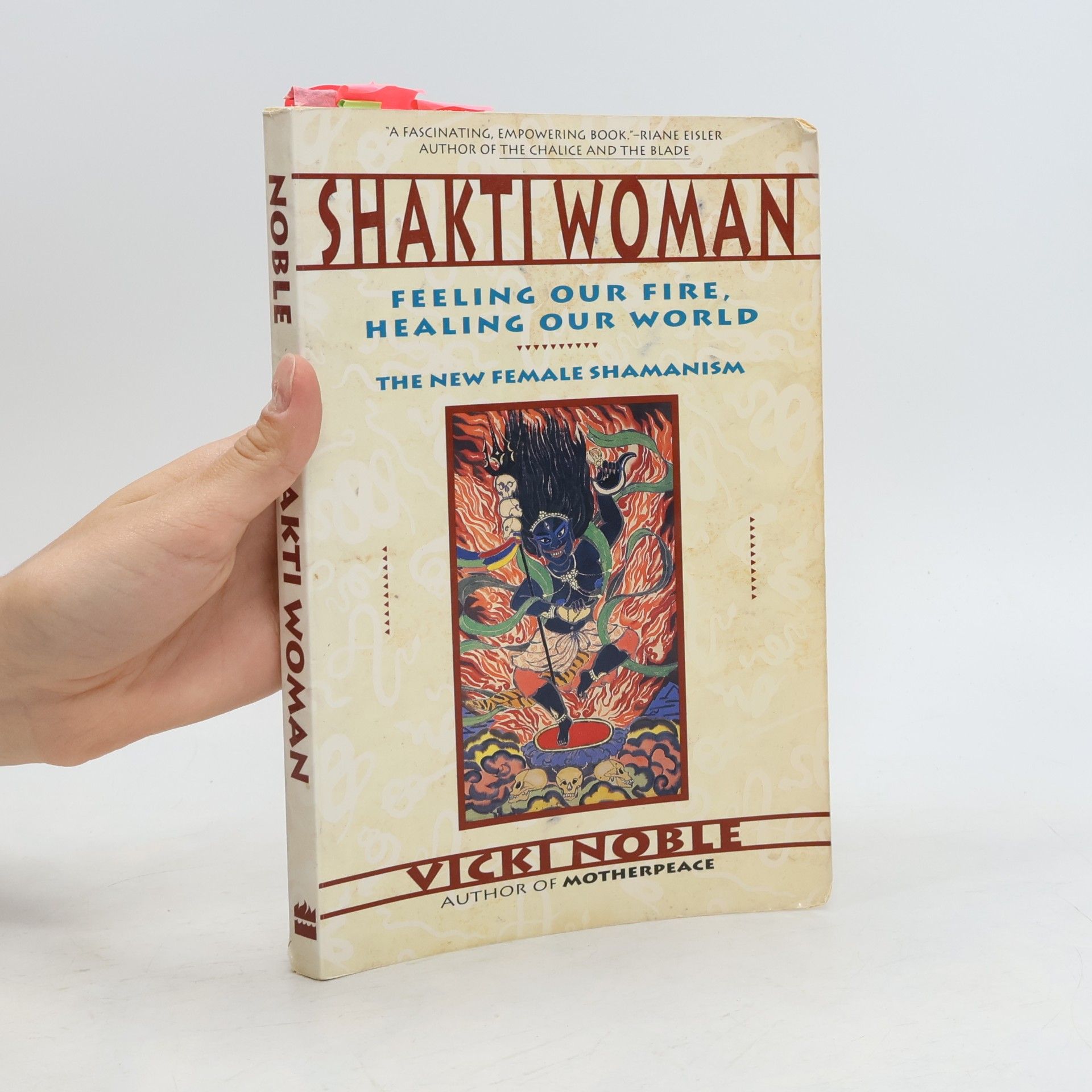 Vicki Noble Shakti Woman