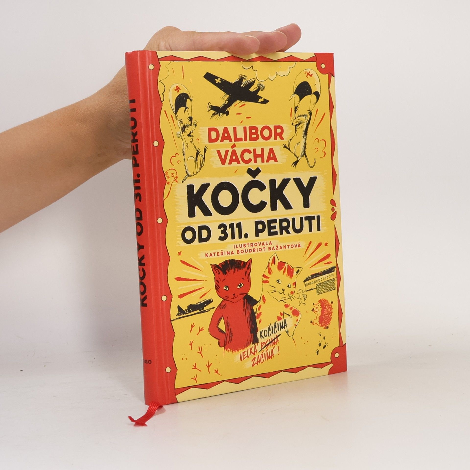 Dalibor Vácha Kočky od 311. peruti