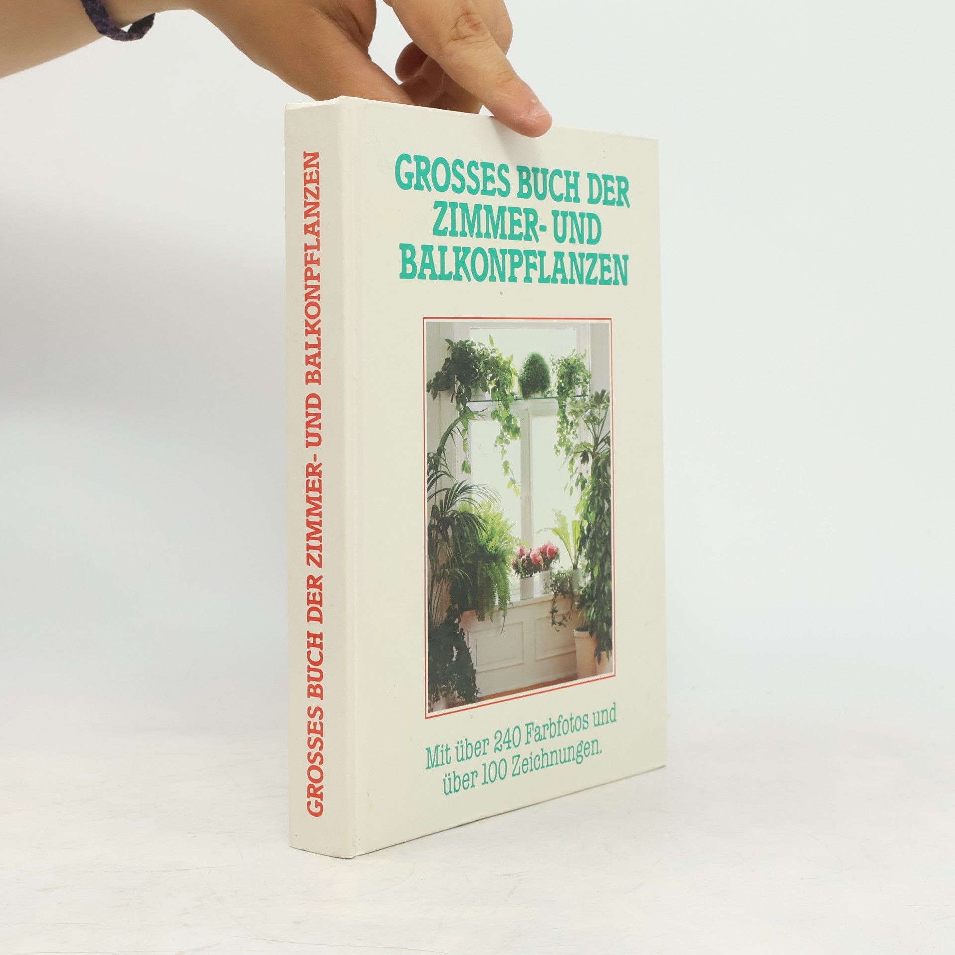 Jürgen Saupe Grossem Buch der Zimmer-und Balkonpflanzen