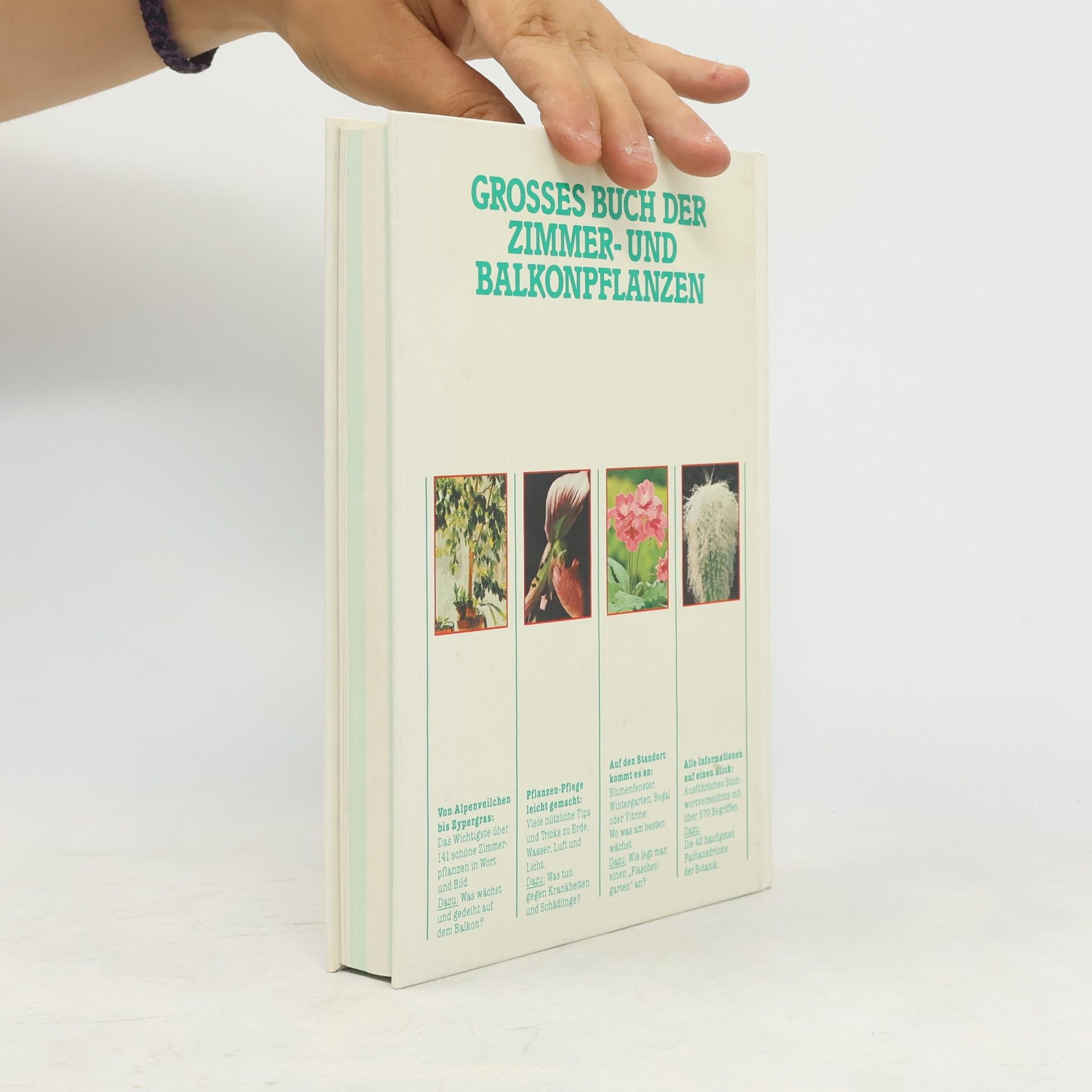 Jürgen Saupe Grossem Buch der Zimmer-und Balkonpflanzen