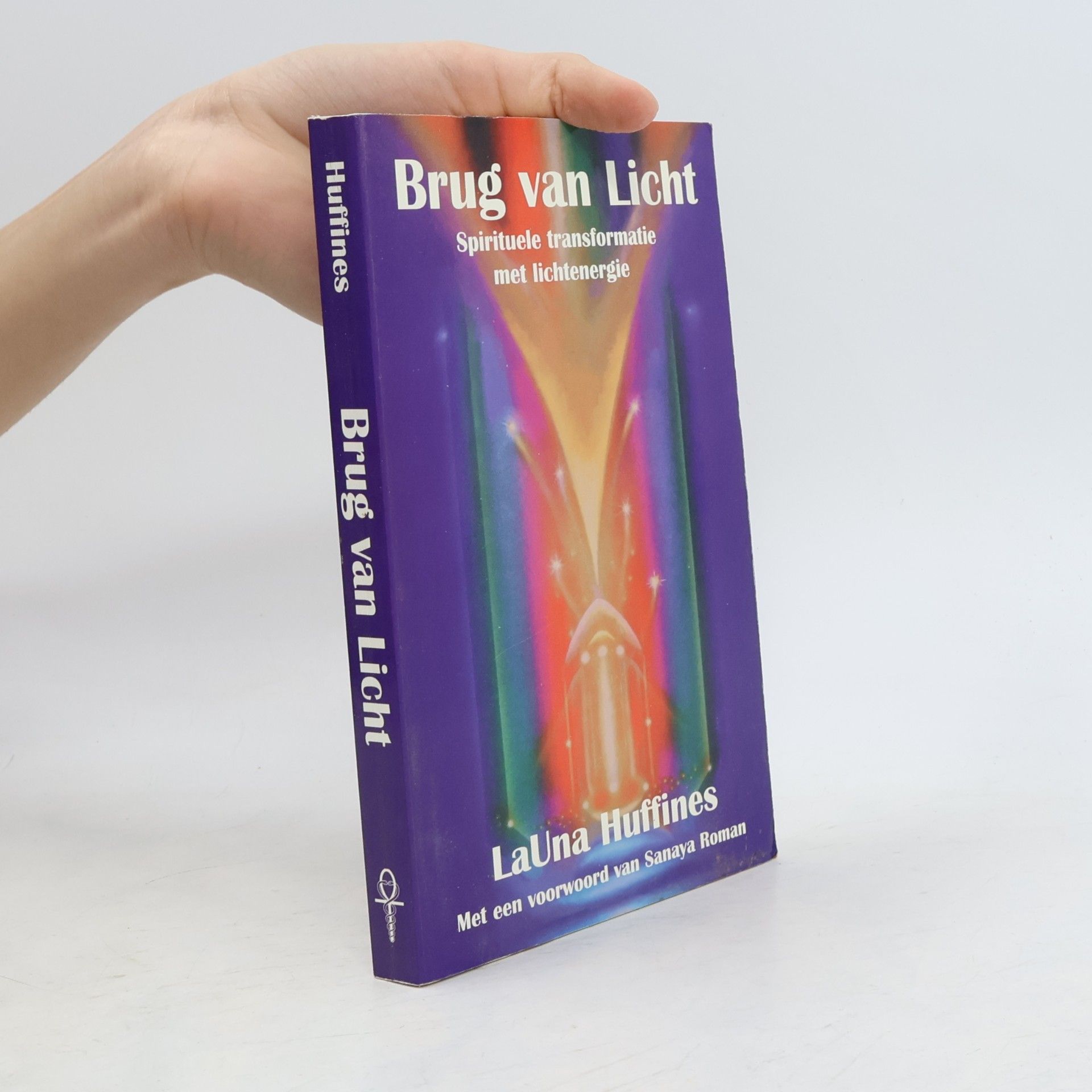 Catharina-Dorinde Rypkema Brug van licht