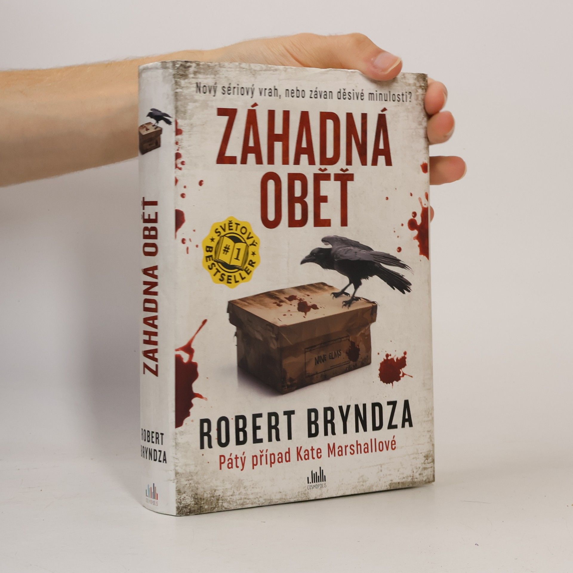 Robert Bryndza Záhadná oběť