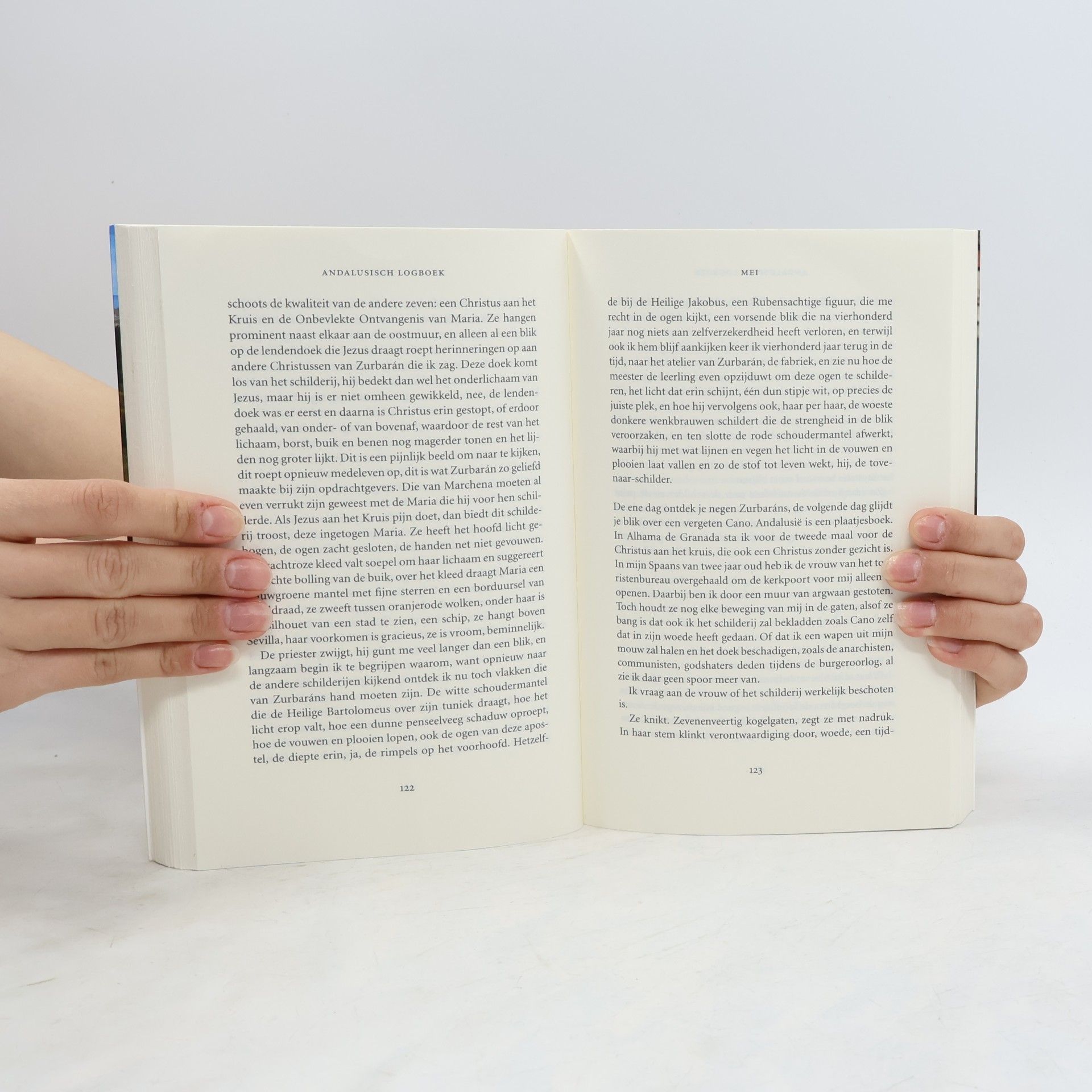 Stefan Brijs Andalusisch logboek