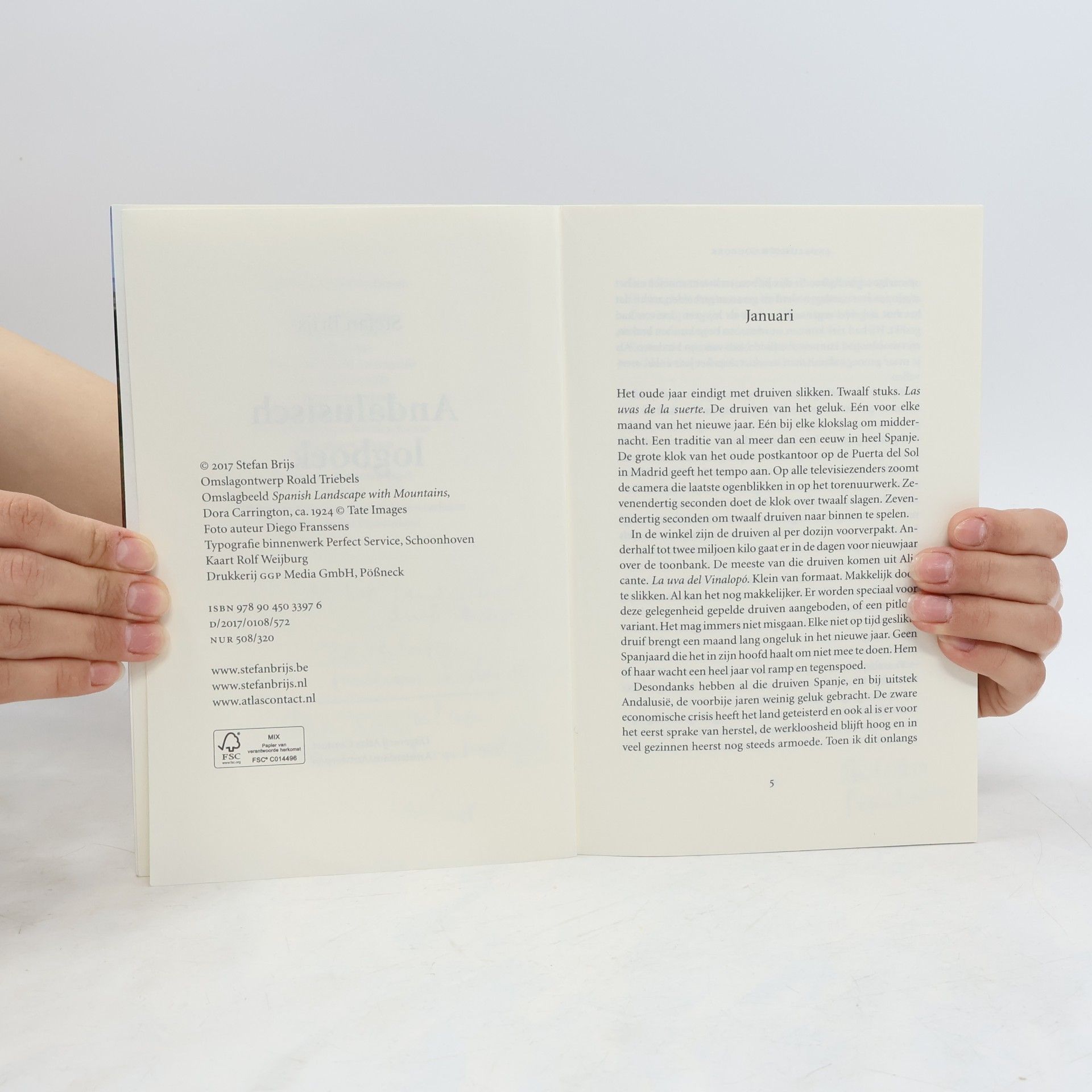 Stefan Brijs Andalusisch logboek