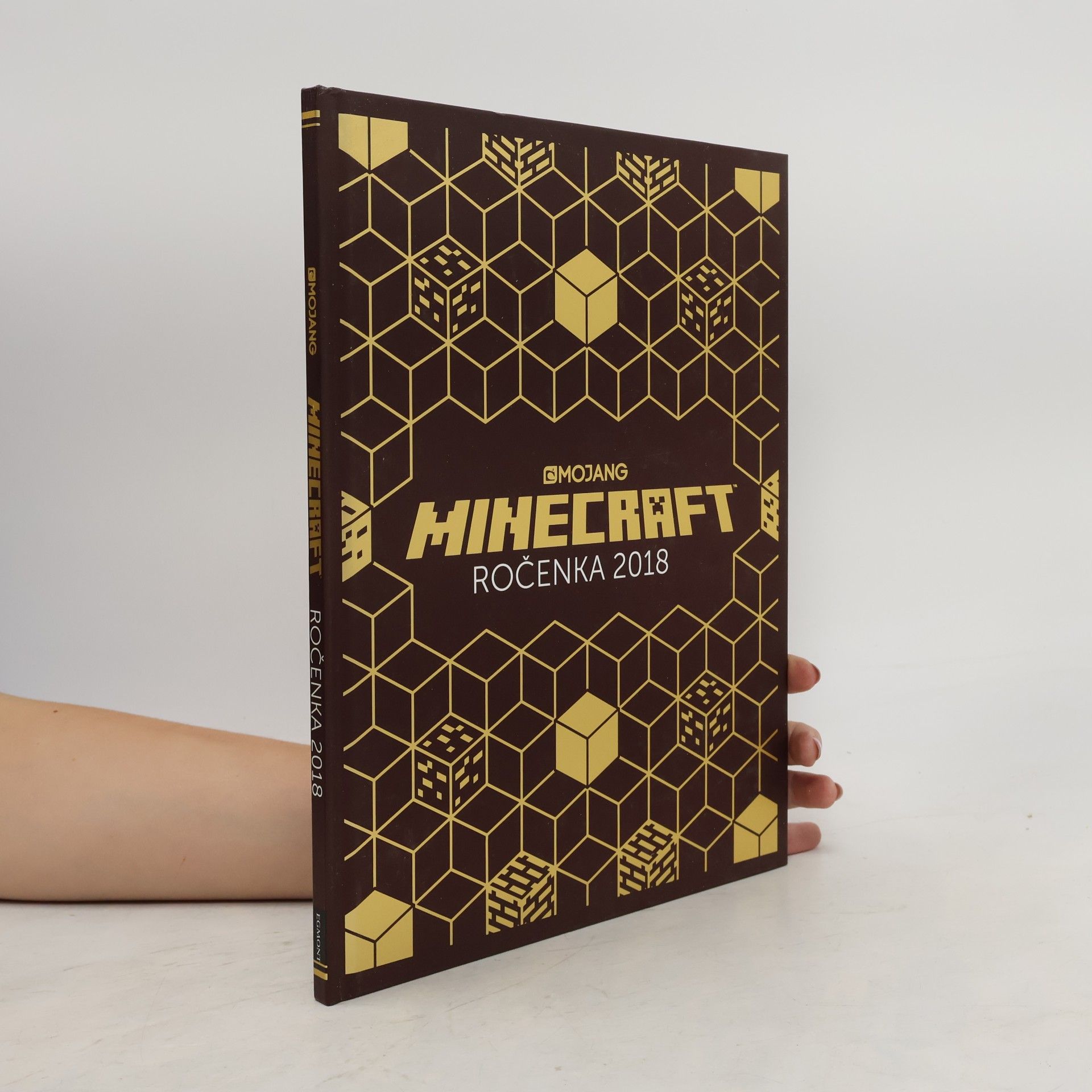 Ryan Marsh Minecraft. Ročenka 2018