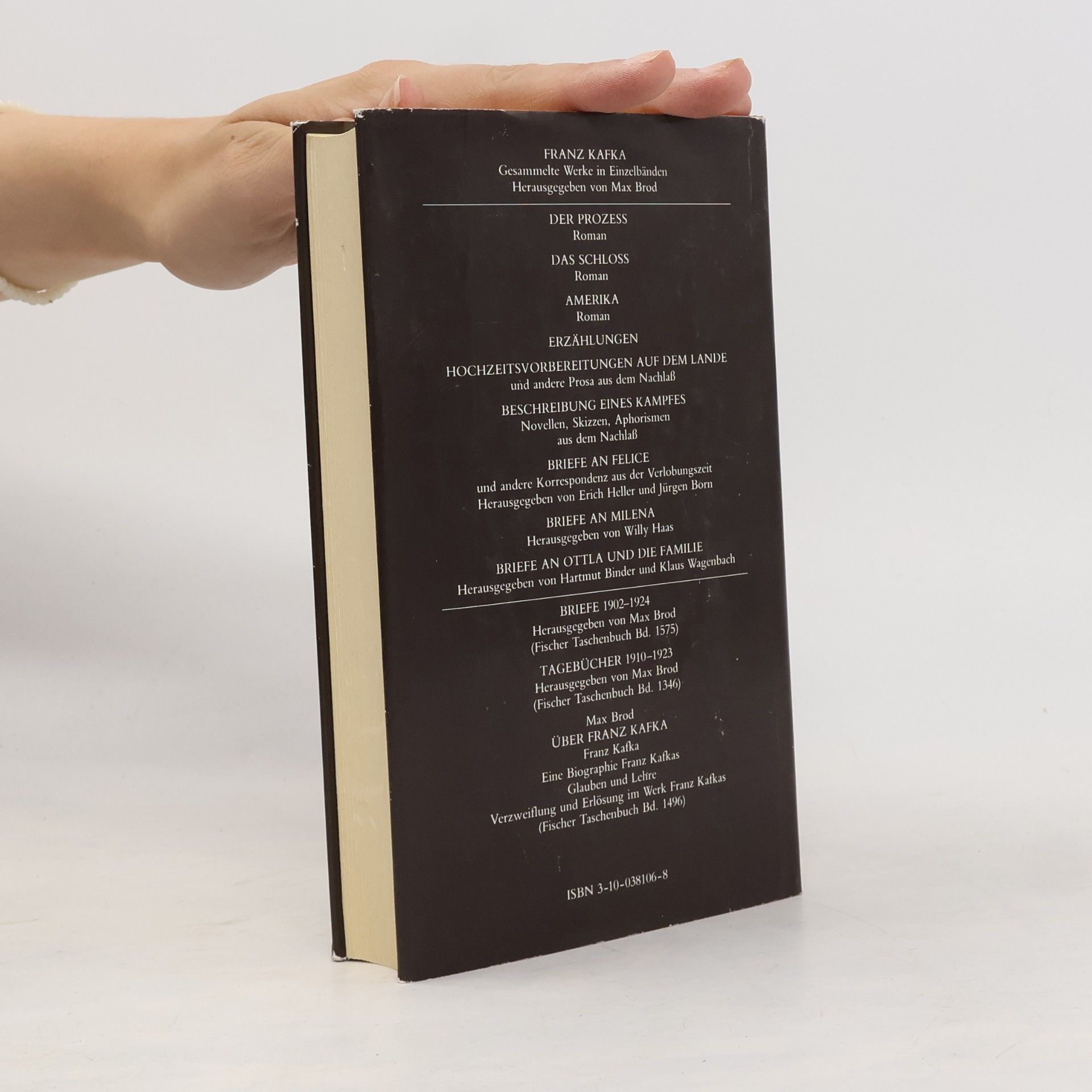 Franz Kafka Hochzeitsvorbereitungen auf dem Lande und andere Prosa aus dem Nachlaß