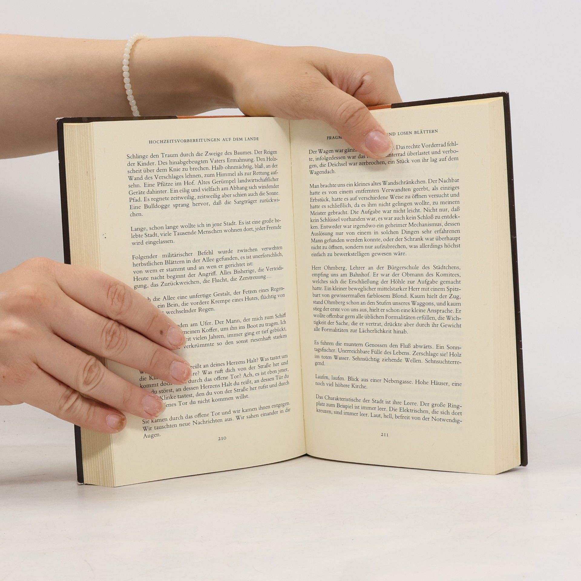 Franz Kafka Hochzeitsvorbereitungen auf dem Lande und andere Prosa aus dem Nachlaß