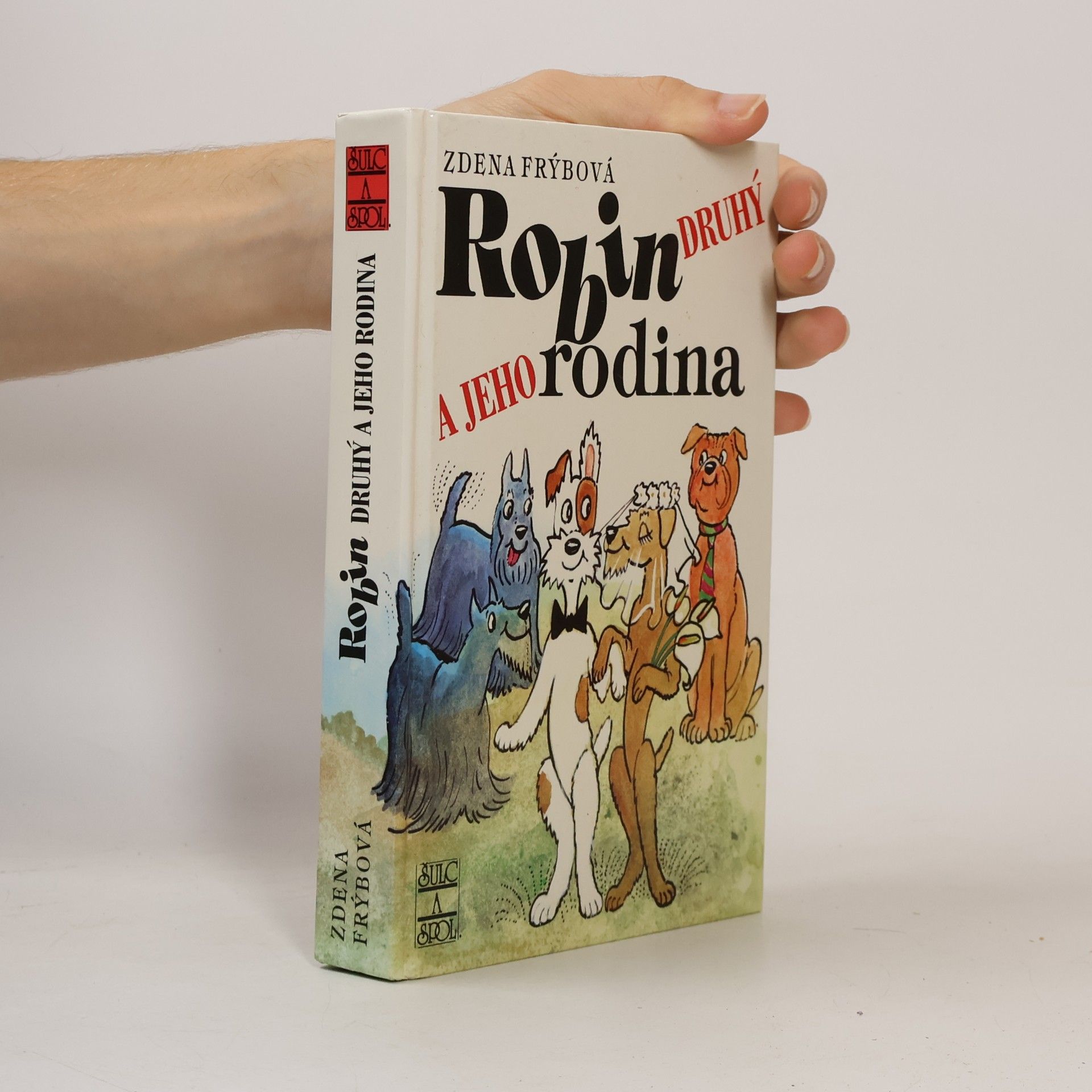 Zdena Frýbová Robin Druhý a jeho rodina