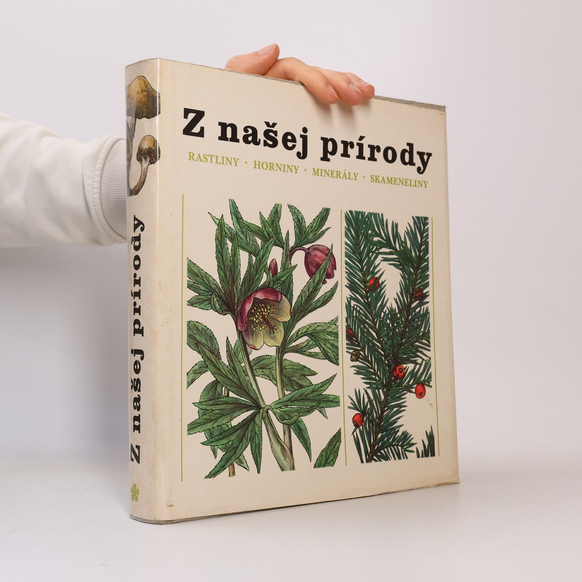 Jindřich Krejča Z našej prírody