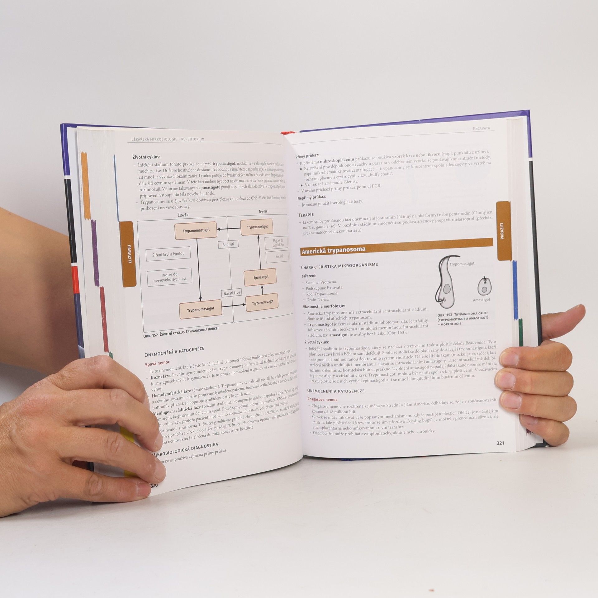 Roman Štícha Lékařská mikrobiologie: repetitorium