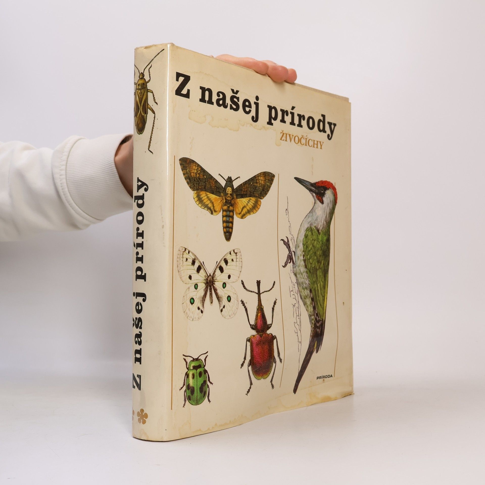 Ladislav Korbel Z našej prírody. Živočíchy