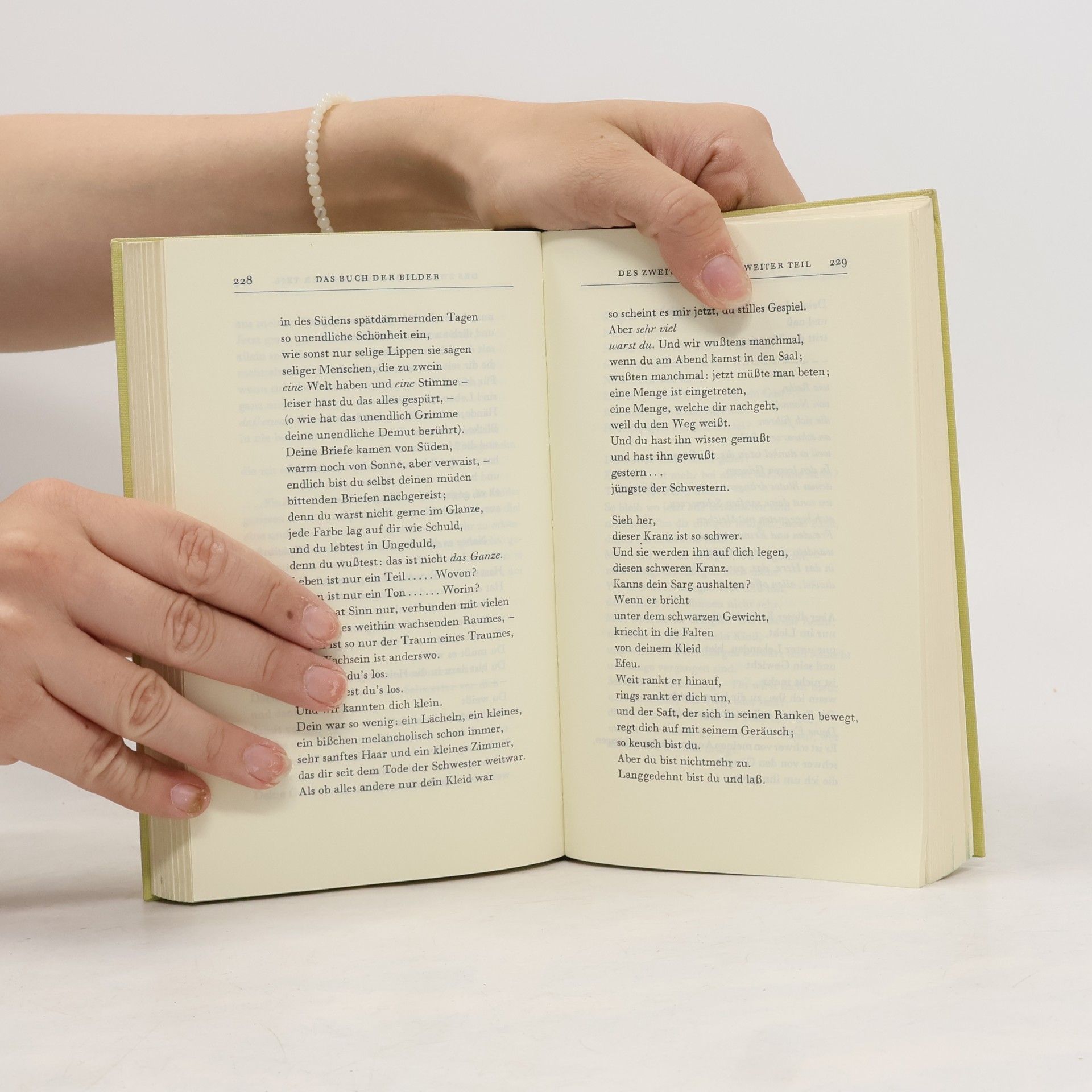Rainer Maria Rilke Gedicht-Zyklen