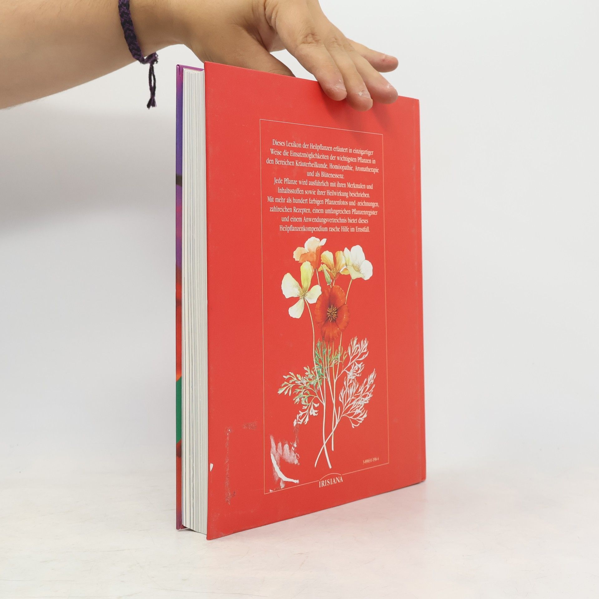 Anne McIntyre Das große Buch der heilenden Pflanzen