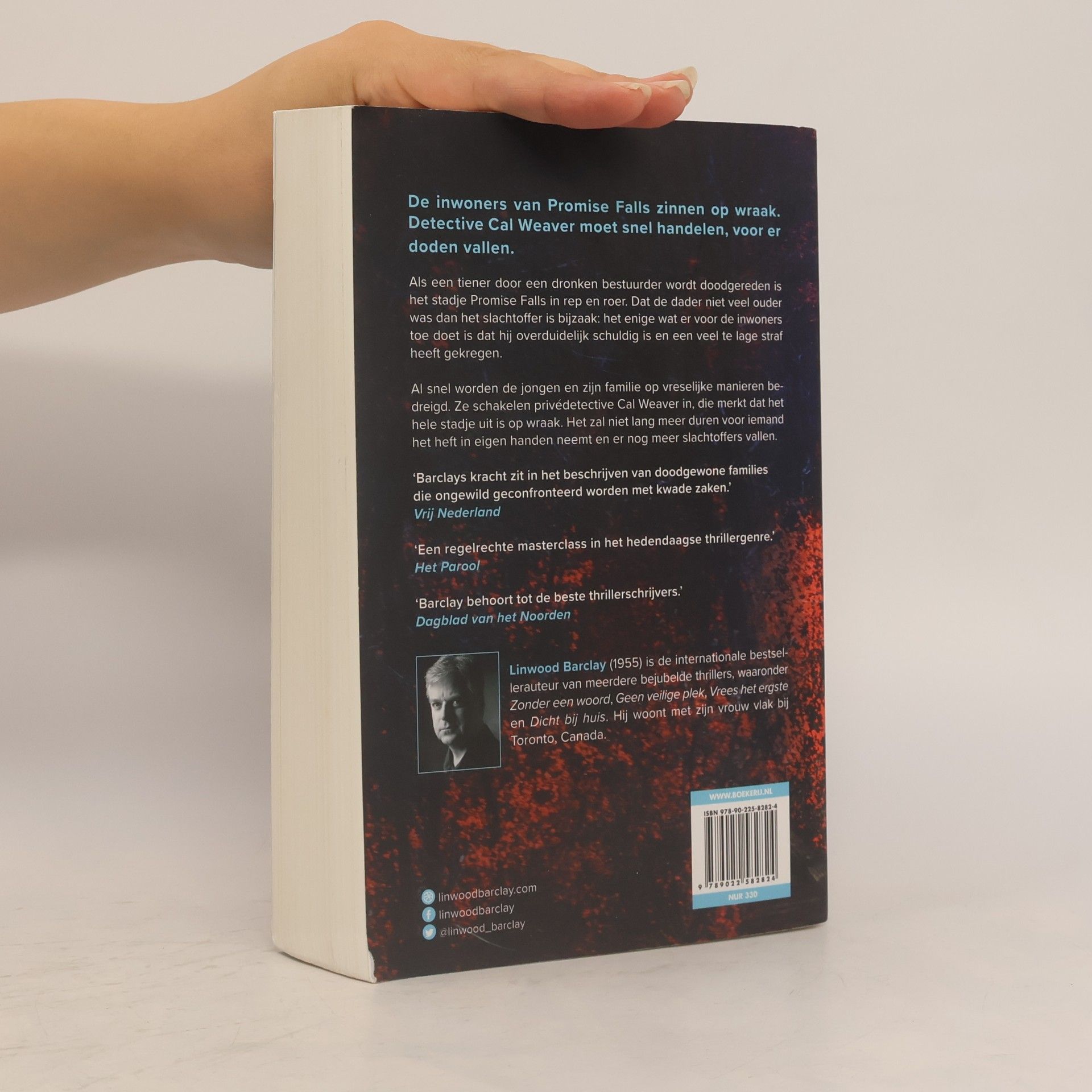 Linwood Barclay Promise Falls - 4: Onhoudbaar