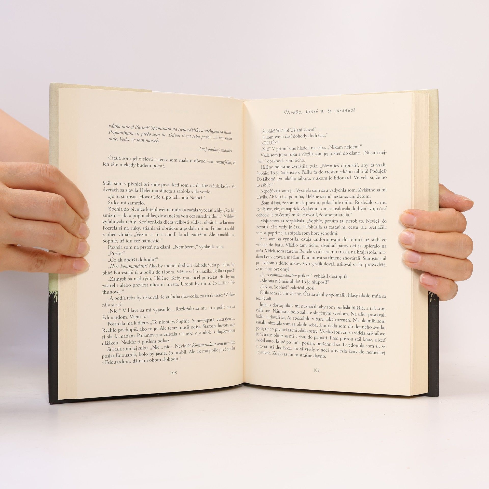 Jojo Moyes Dievča, ktoré si tu zanechal