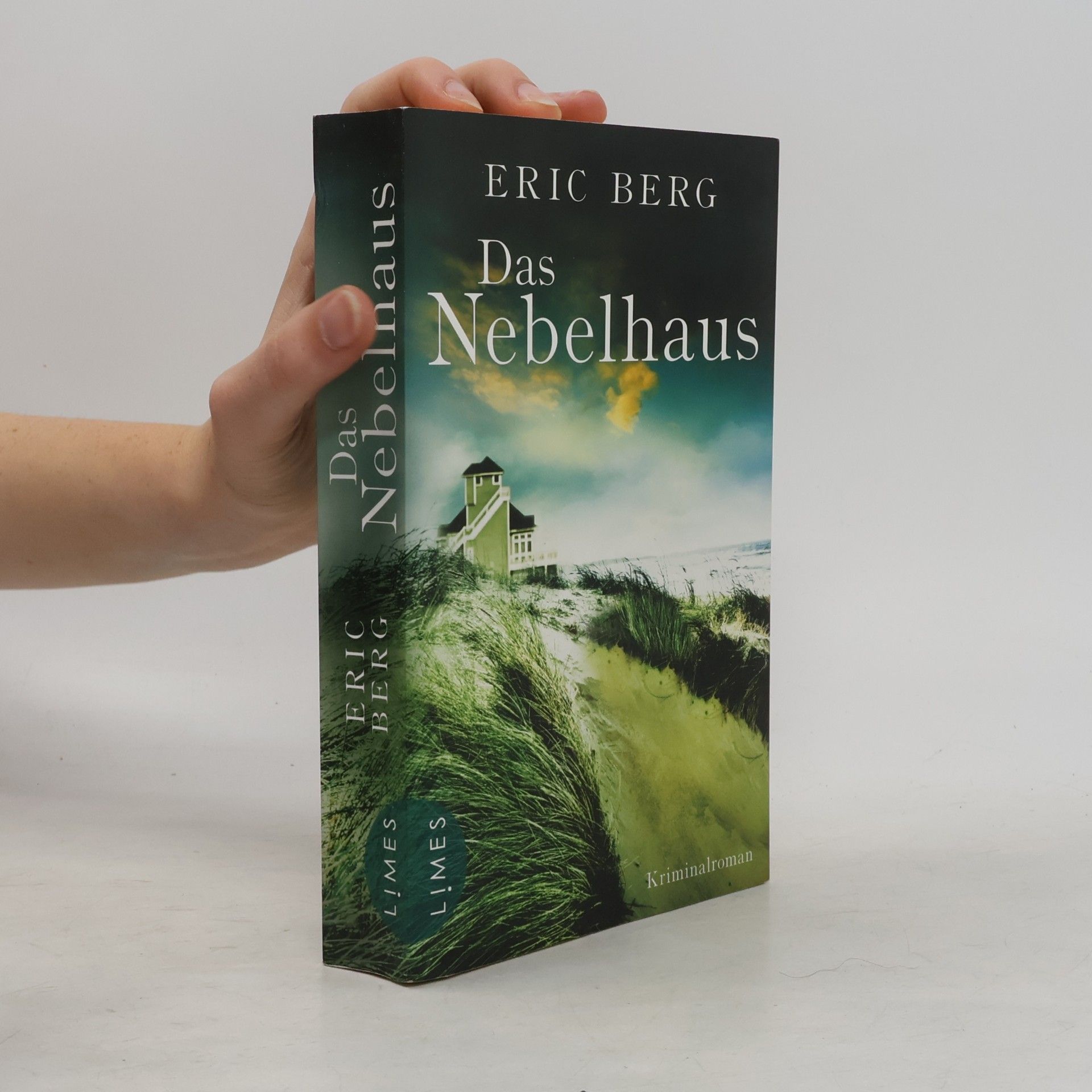 Eric Berg Das Nebelhaus