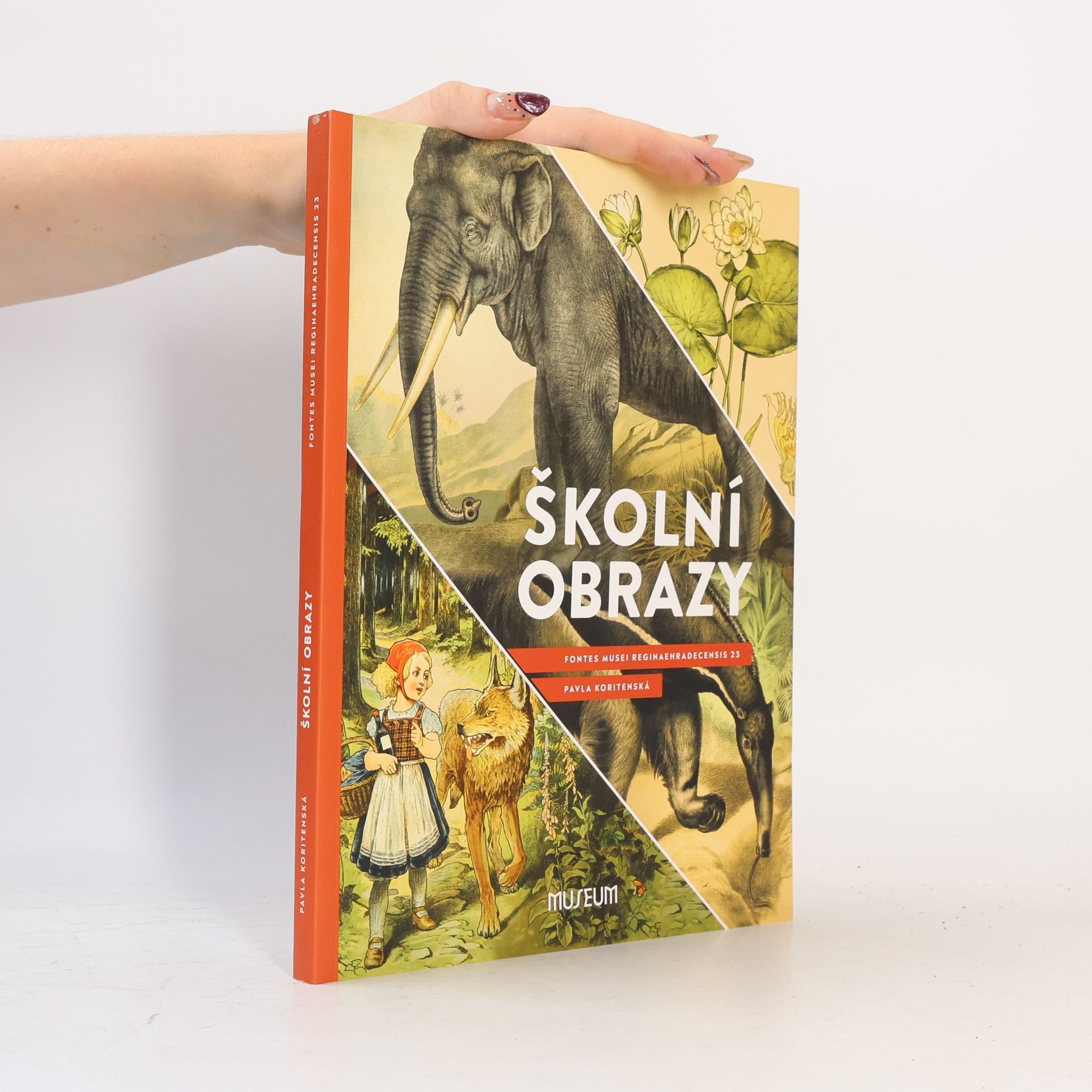 Pavla Koritenská Školní obrazy