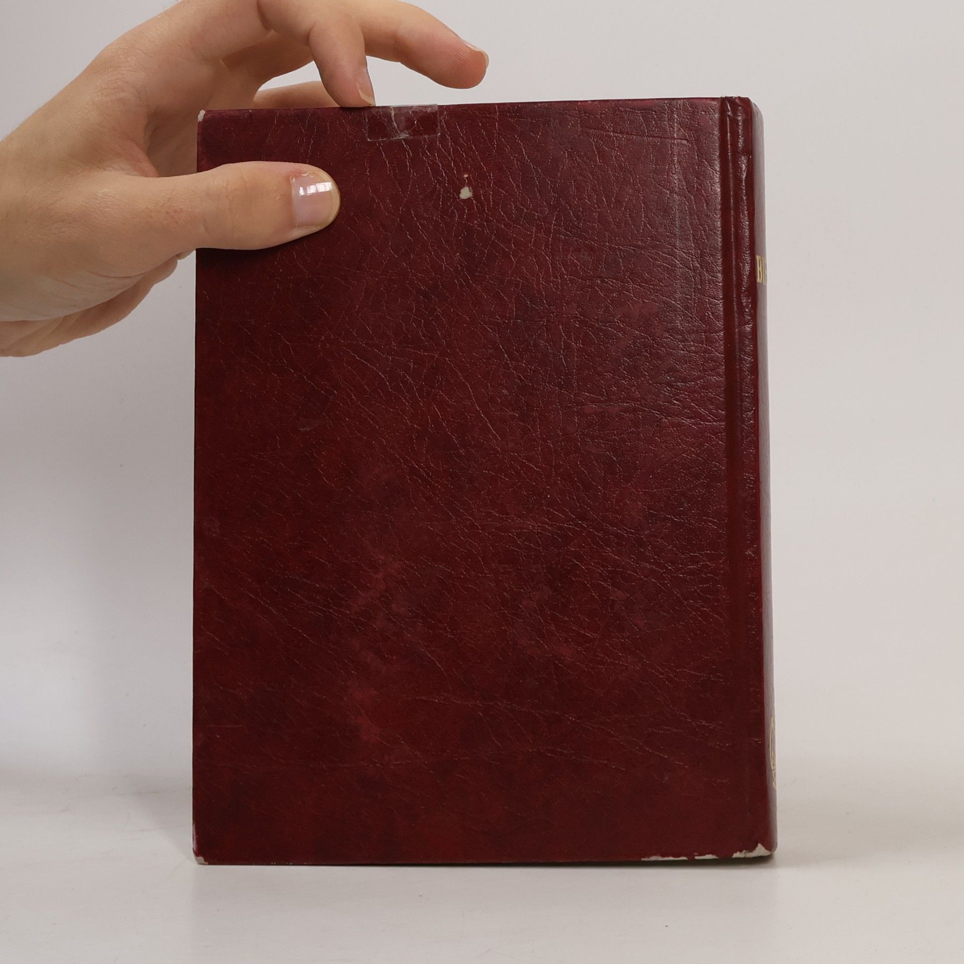 Kolektiv autorů Bible