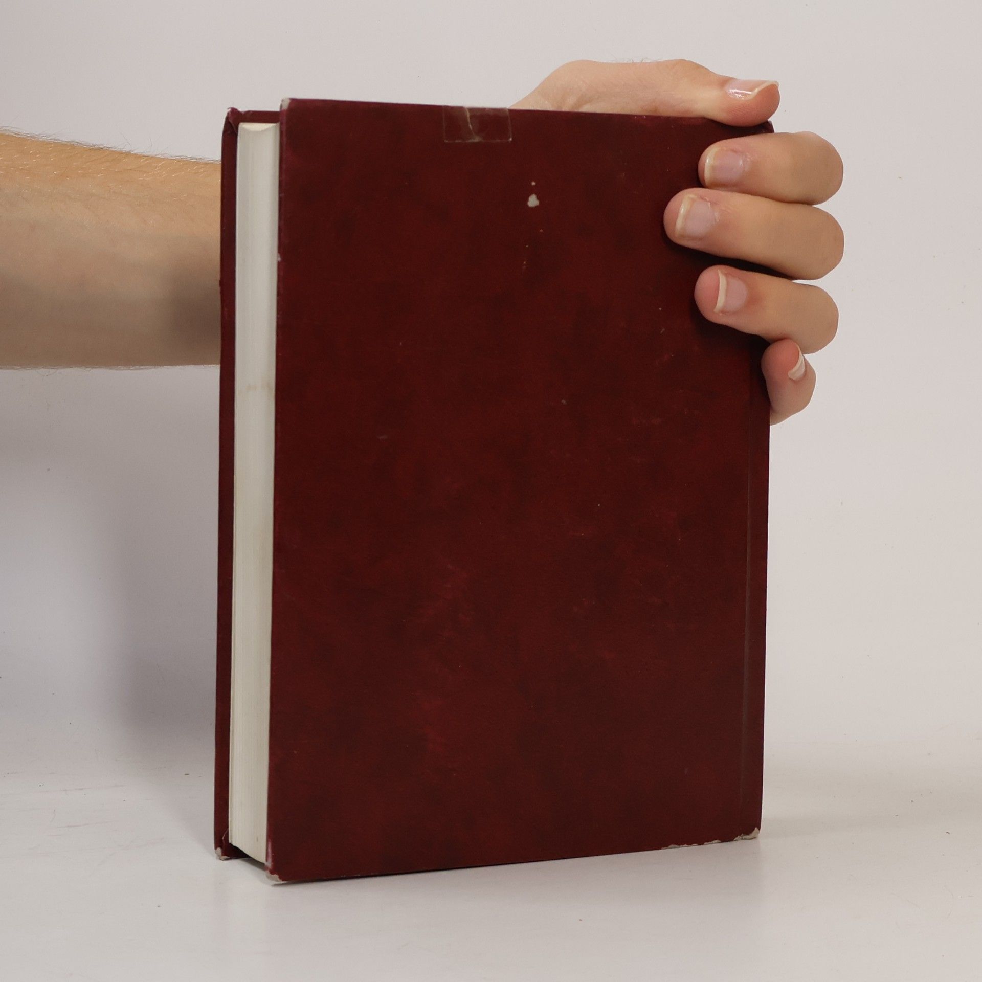 Kolektiv autorů Bible
