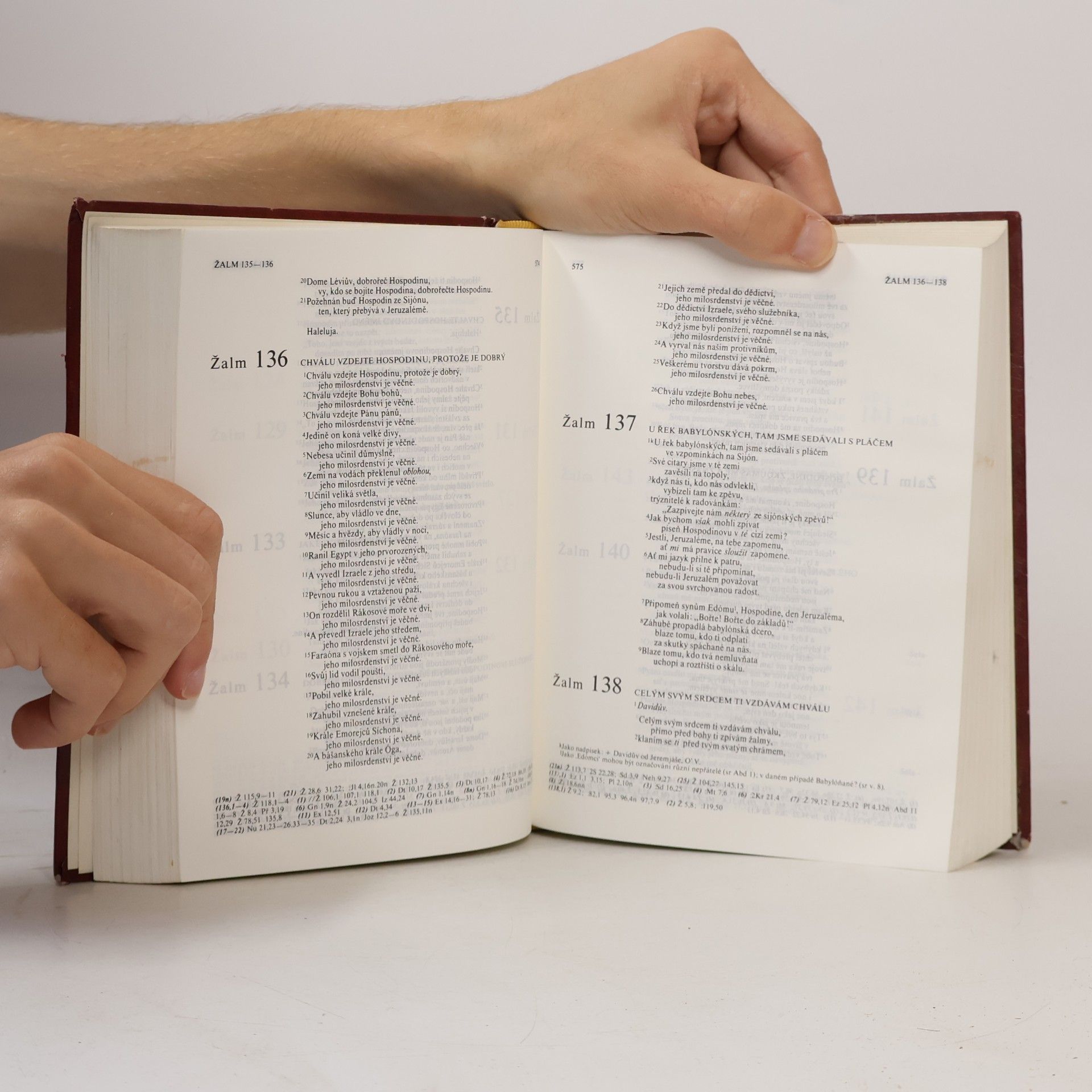 Kolektiv autorů Bible