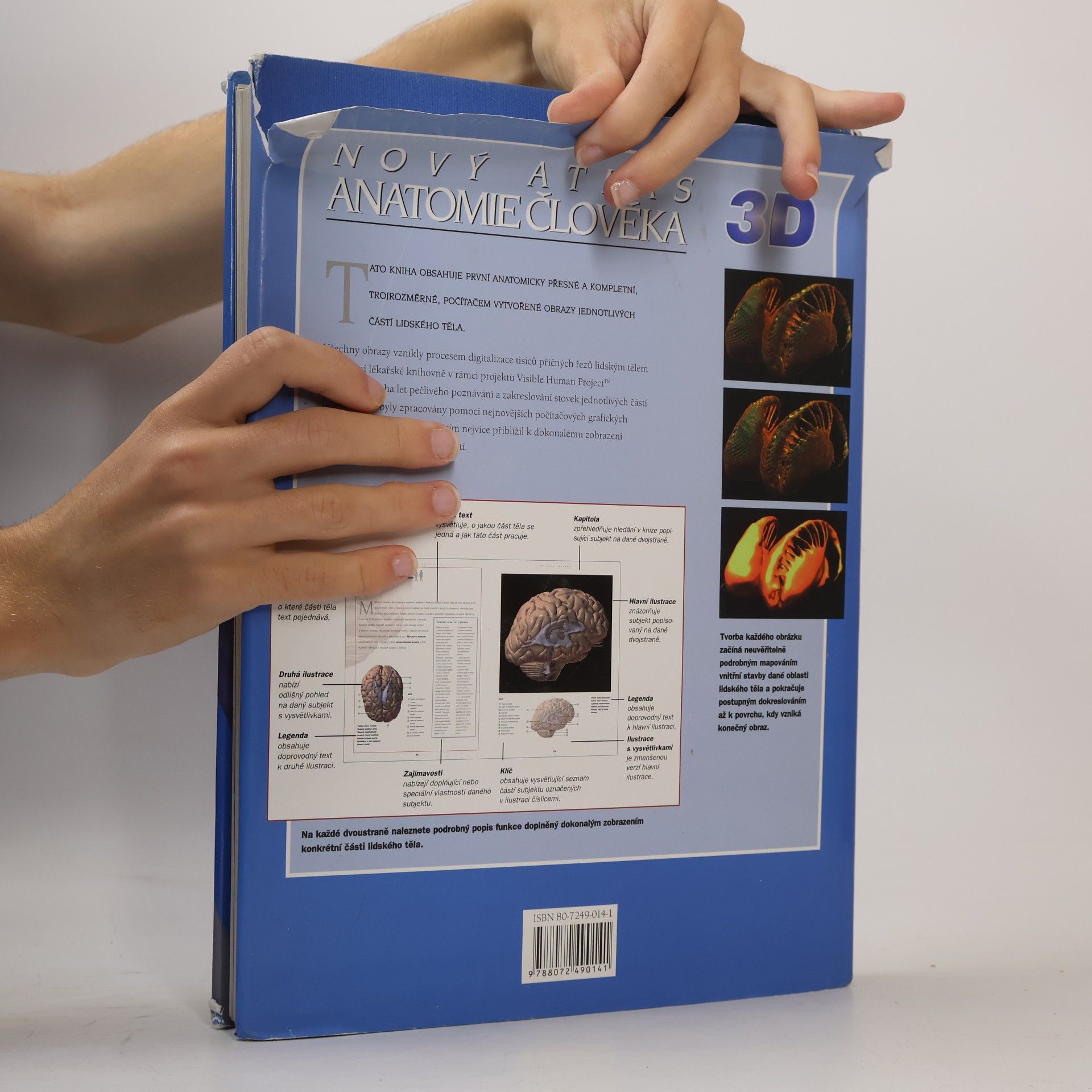 Thomas McCraken Nový atlas anatomie člověka 3D