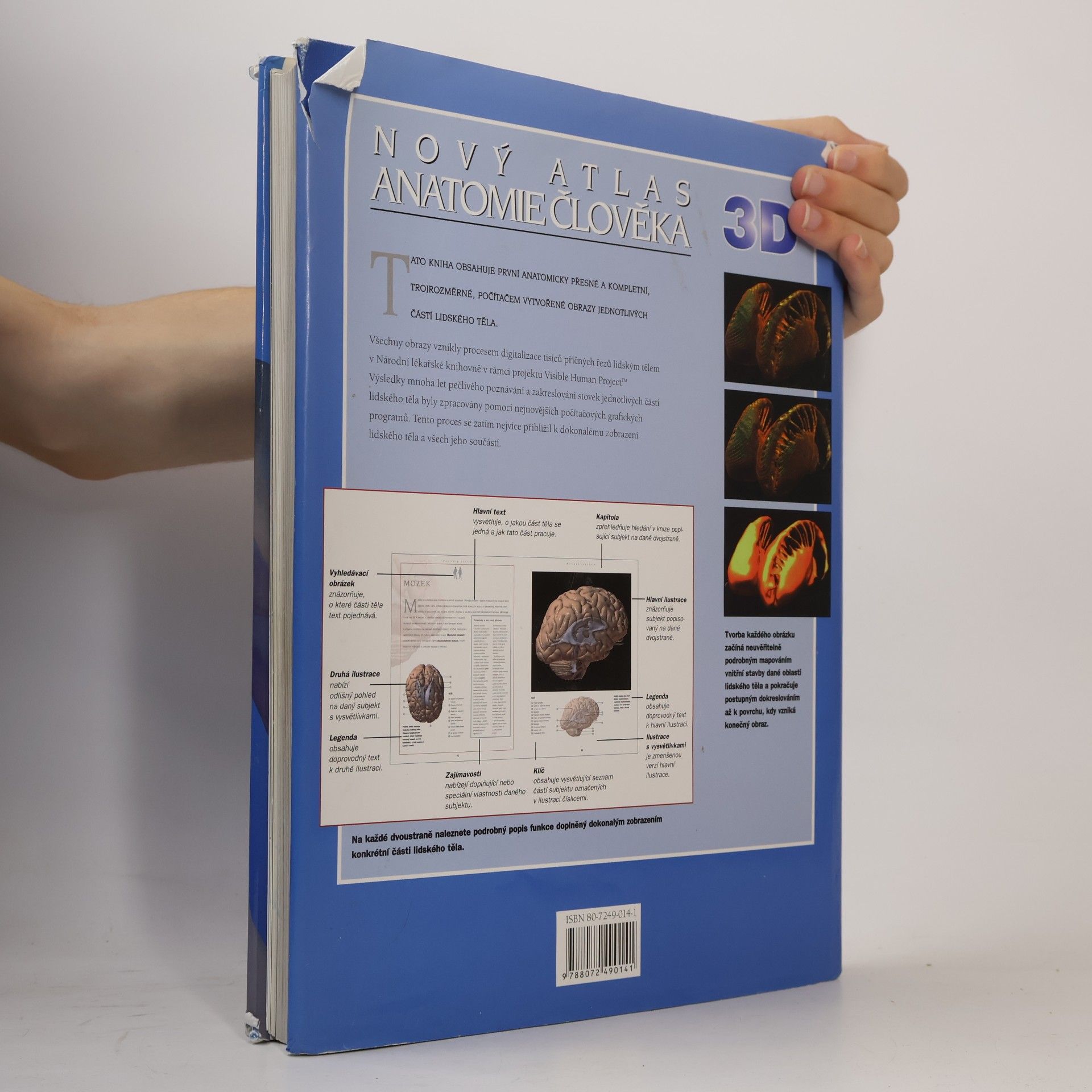 Thomas McCraken Nový atlas anatomie člověka 3D