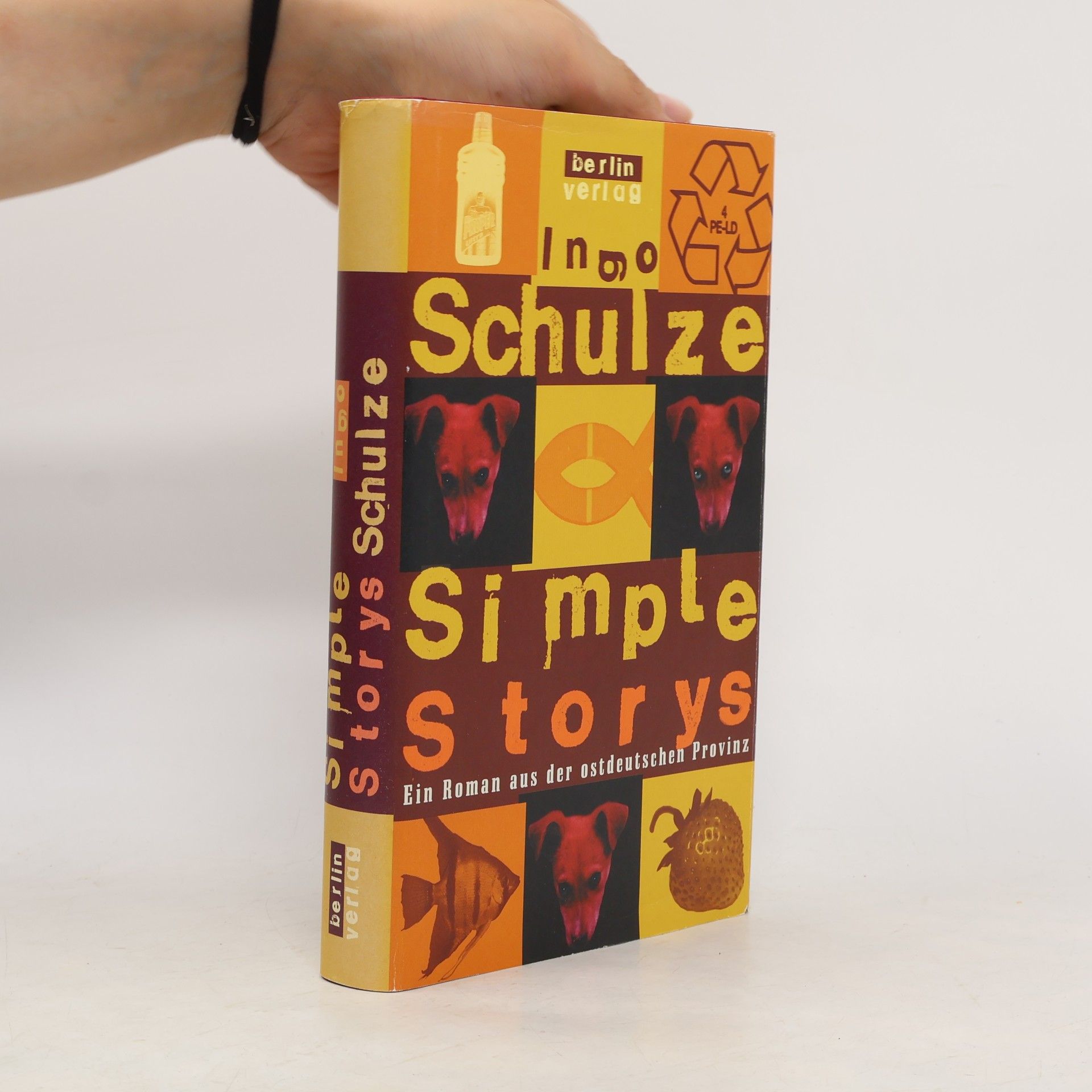 Ingo Schulze Simple Storys