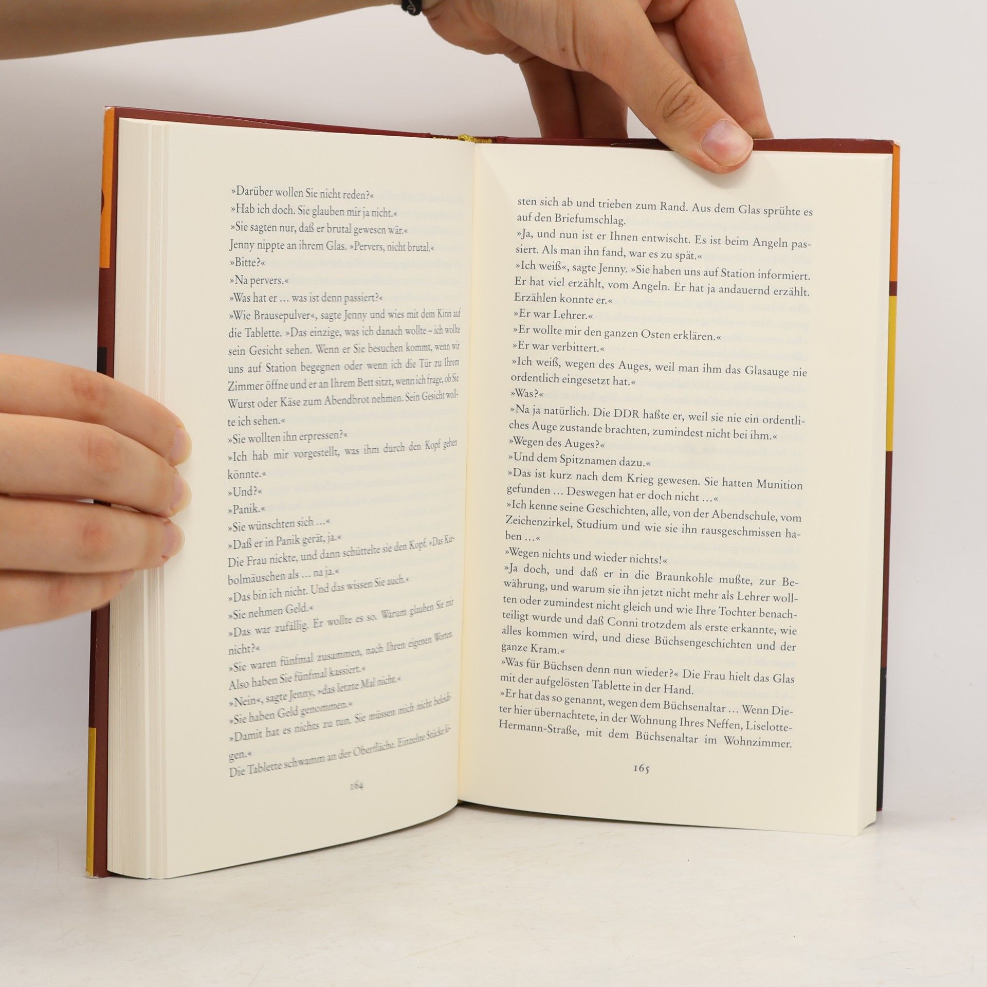 Ingo Schulze Simple Storys