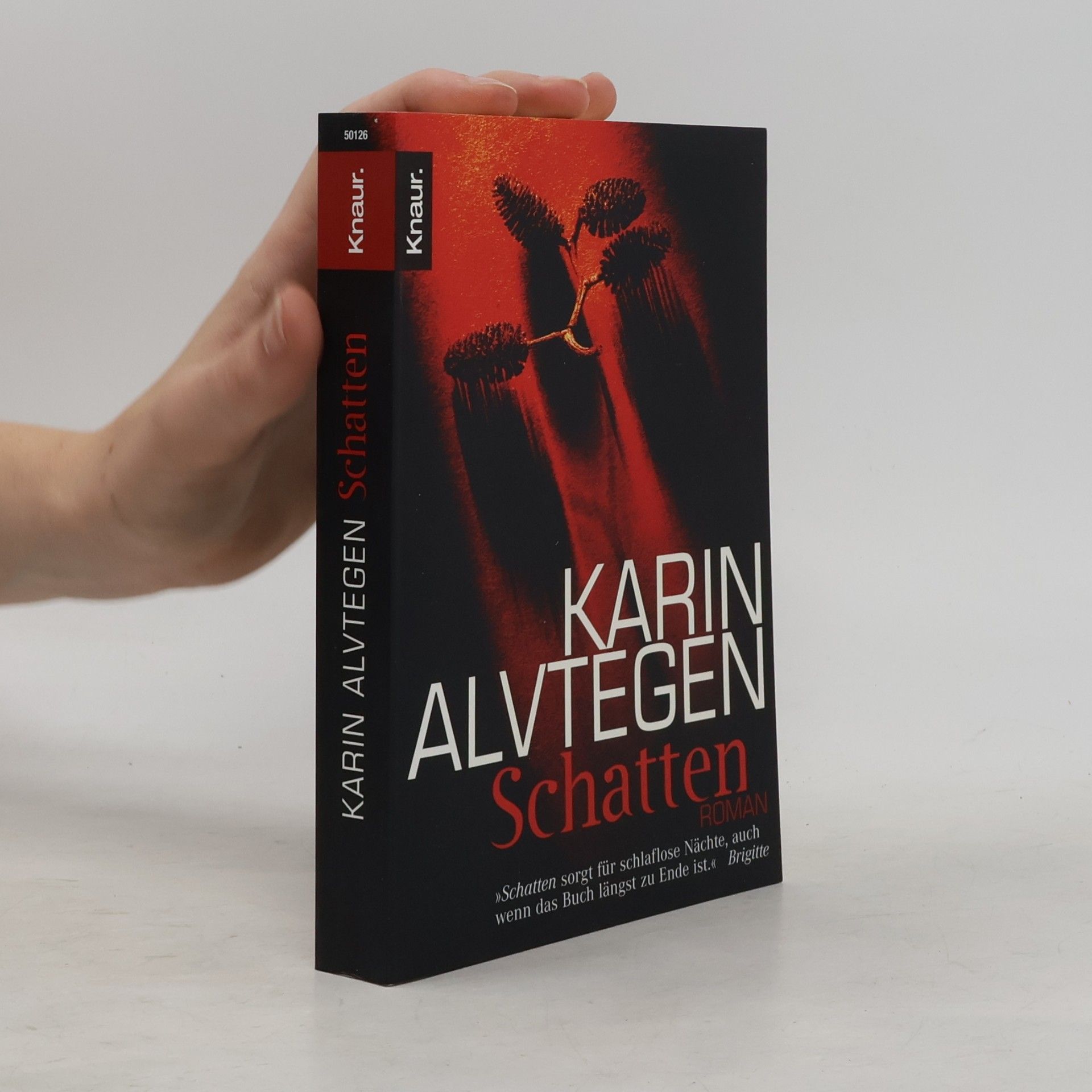 Karin Alvtegen Schatten