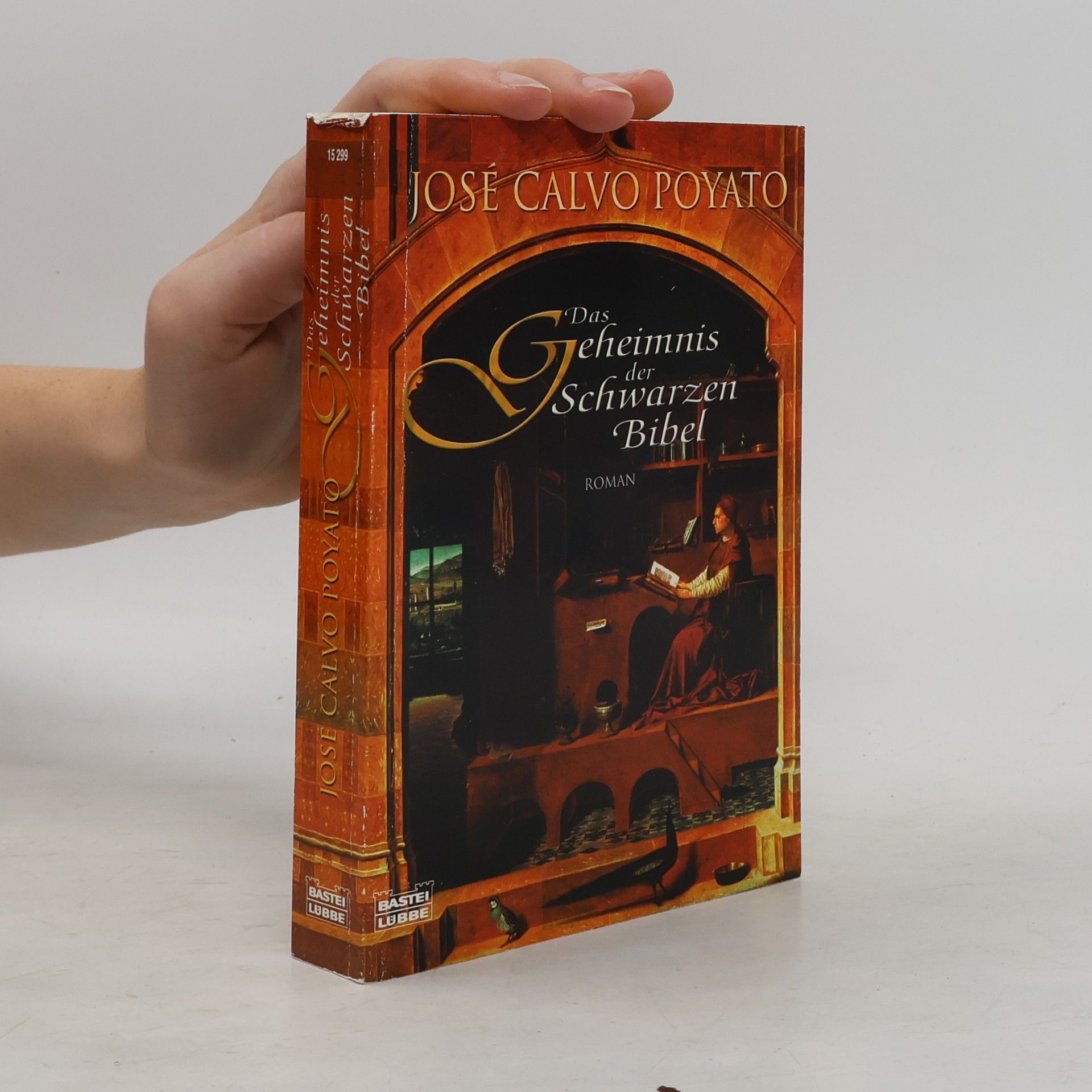 José Calvo Poyato Das Geheimnis der schwarzen Bibel