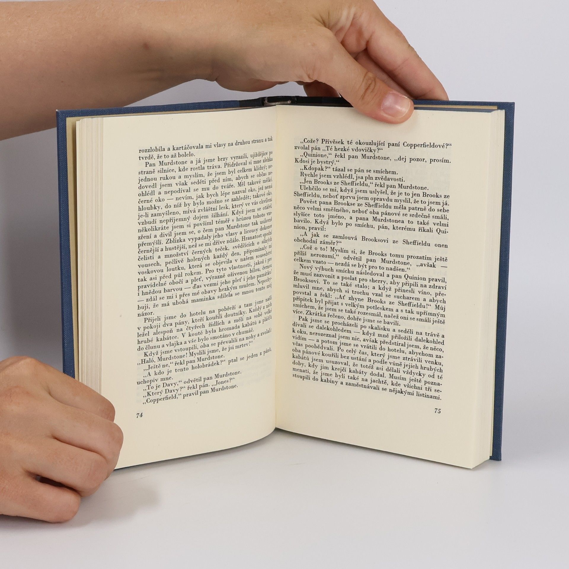 Autorenkollektiv Spisovná čeština a jazyková kultura