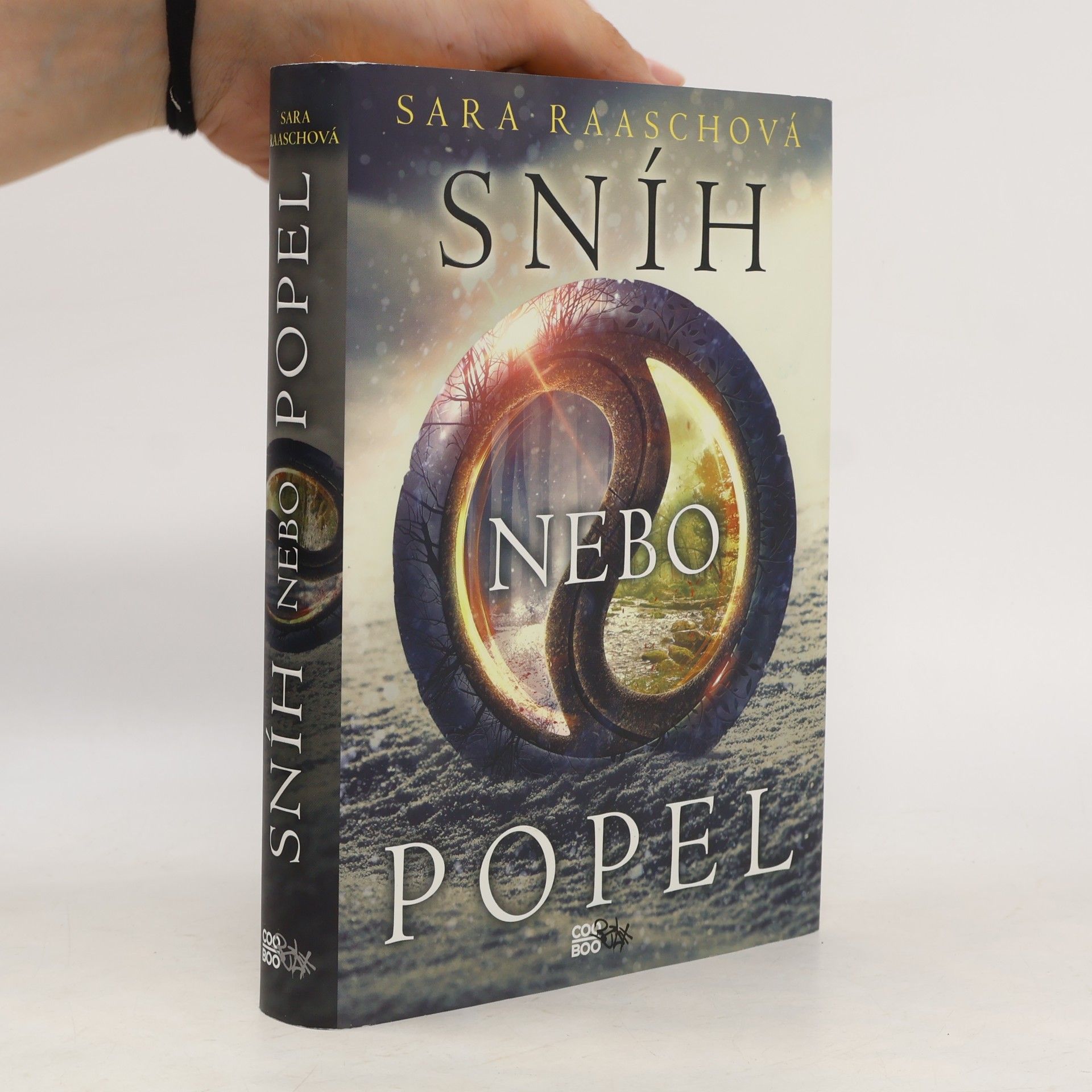 Sara Raasch Sníh nebo popel